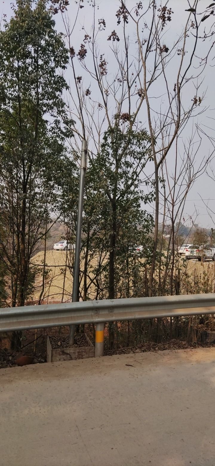 童乐湾亲子乐园旅行图片 1