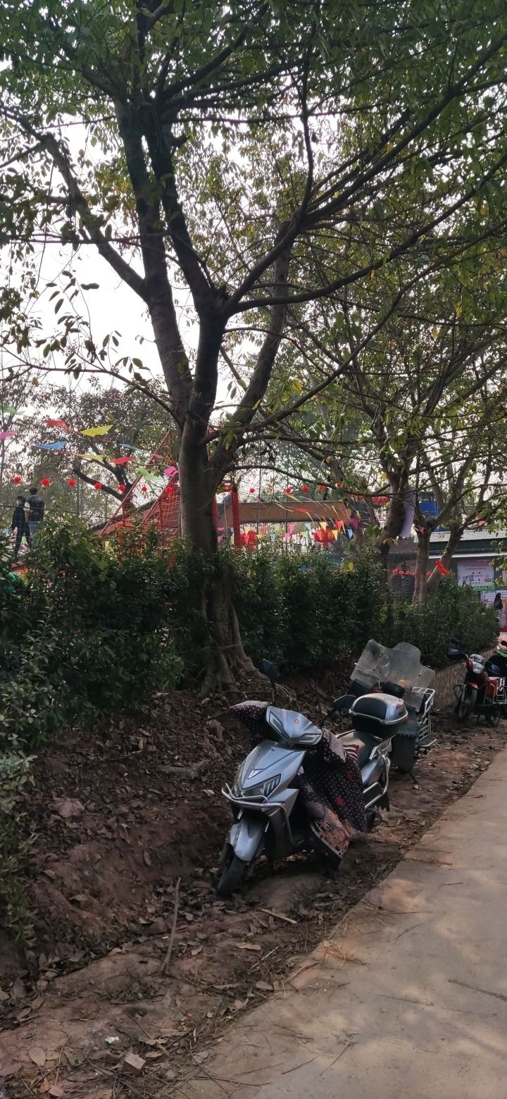 童乐湾亲子乐园旅行图片 3