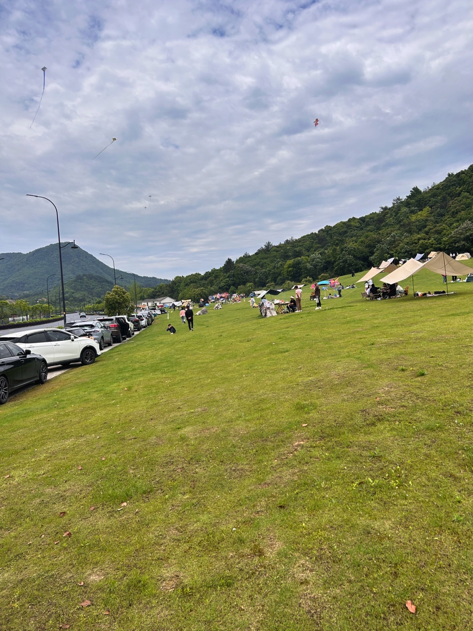 胜联区块山地公园旅行图片 2
