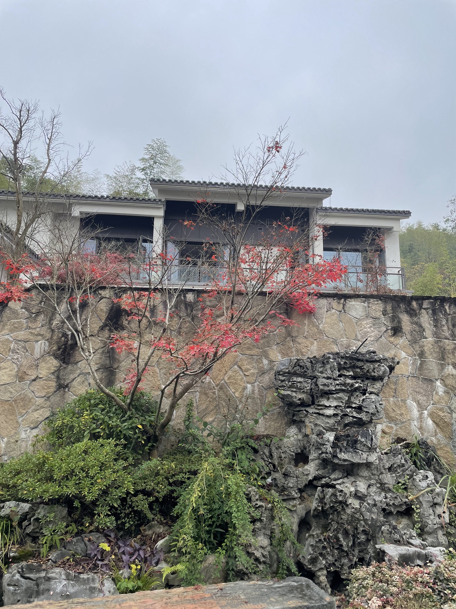 胜联区块山地公园旅行图片 1