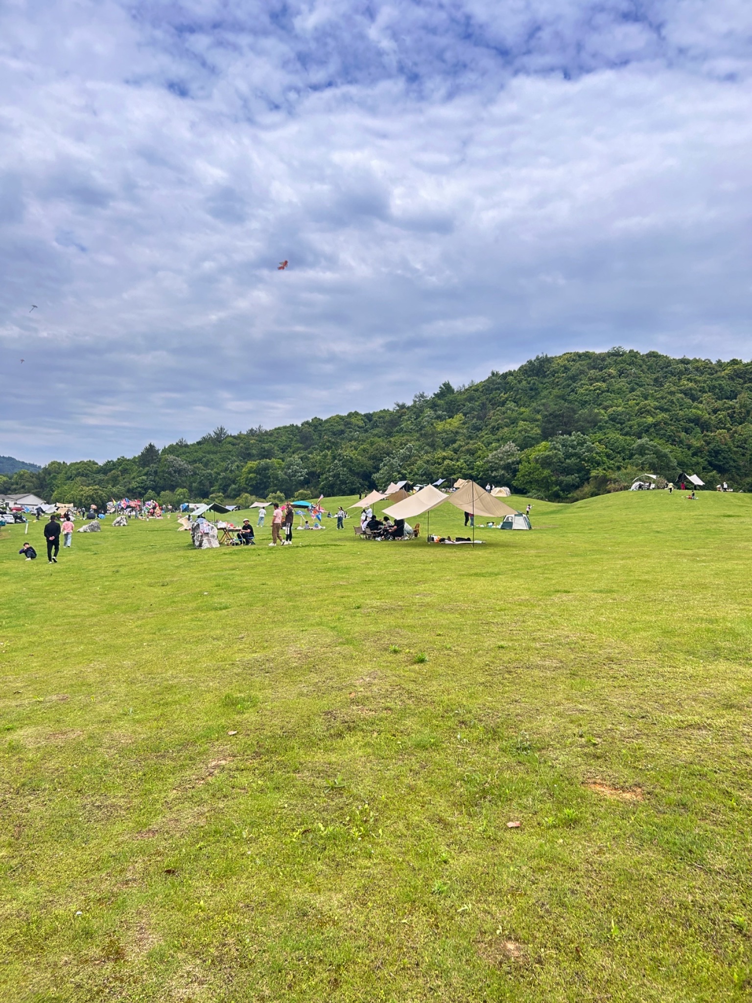 胜联区块山地公园旅行图片 1