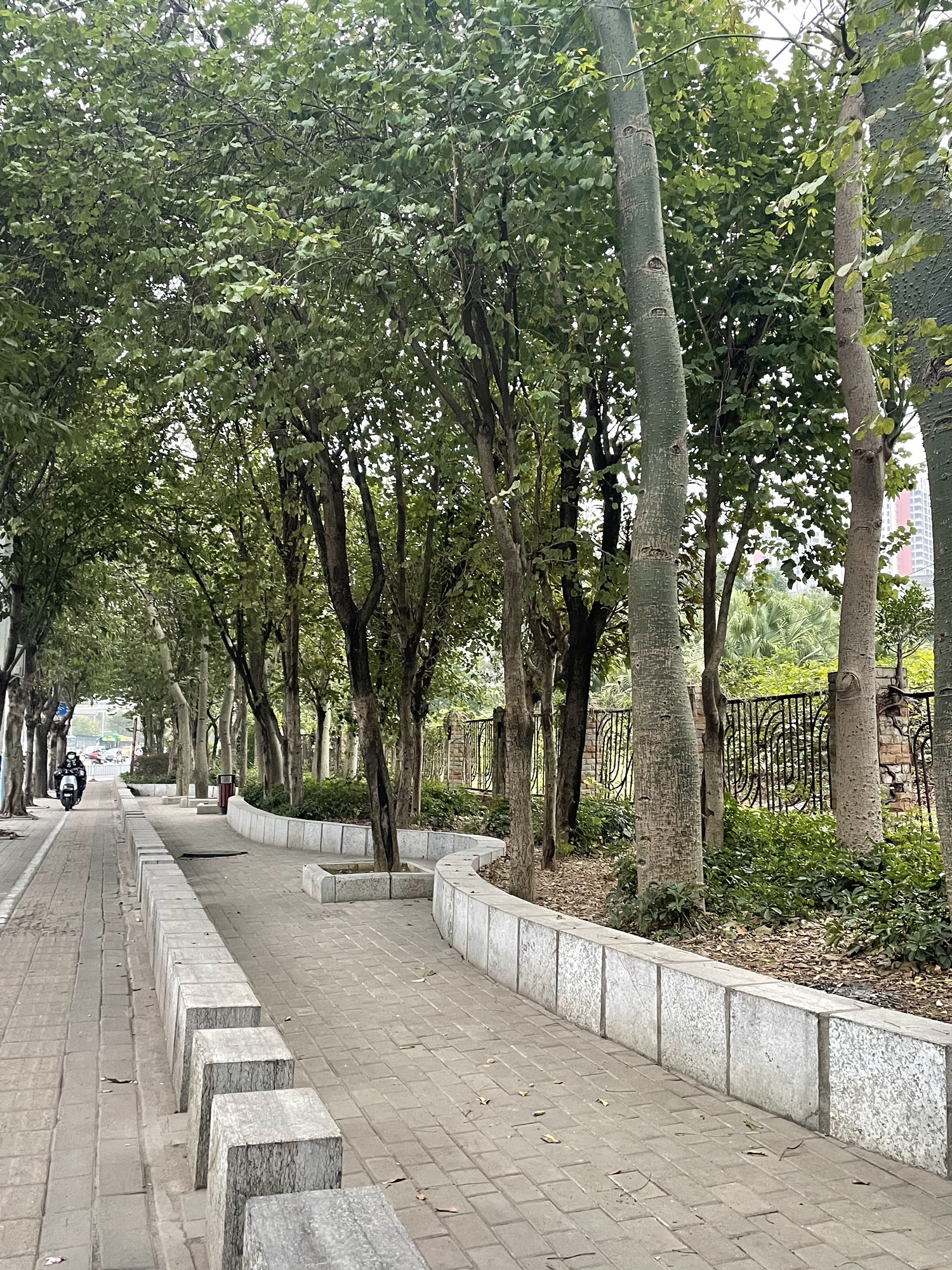 九曲河滨水公园旅行图片 2