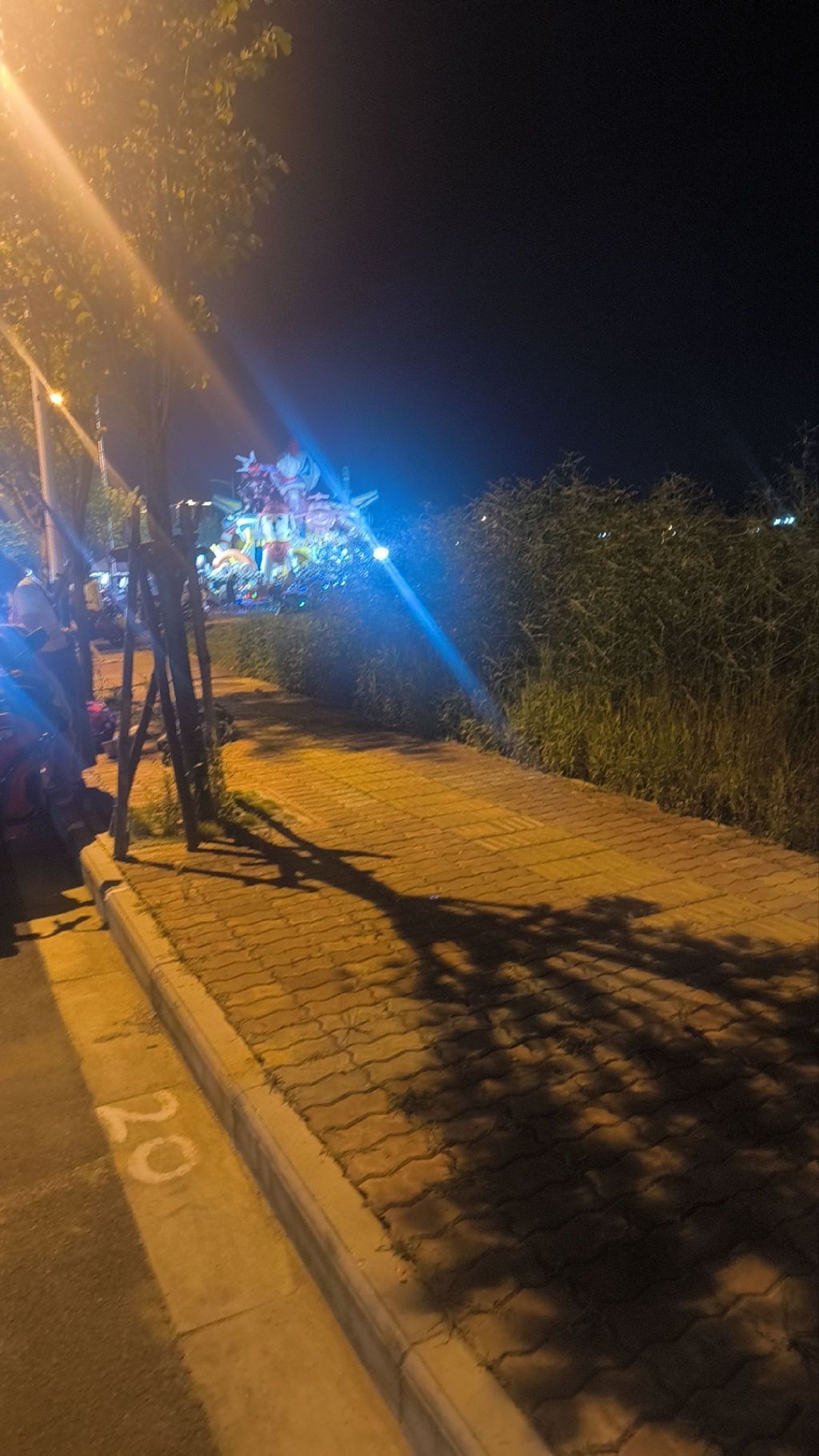九曲河滨水公园旅行图片 1