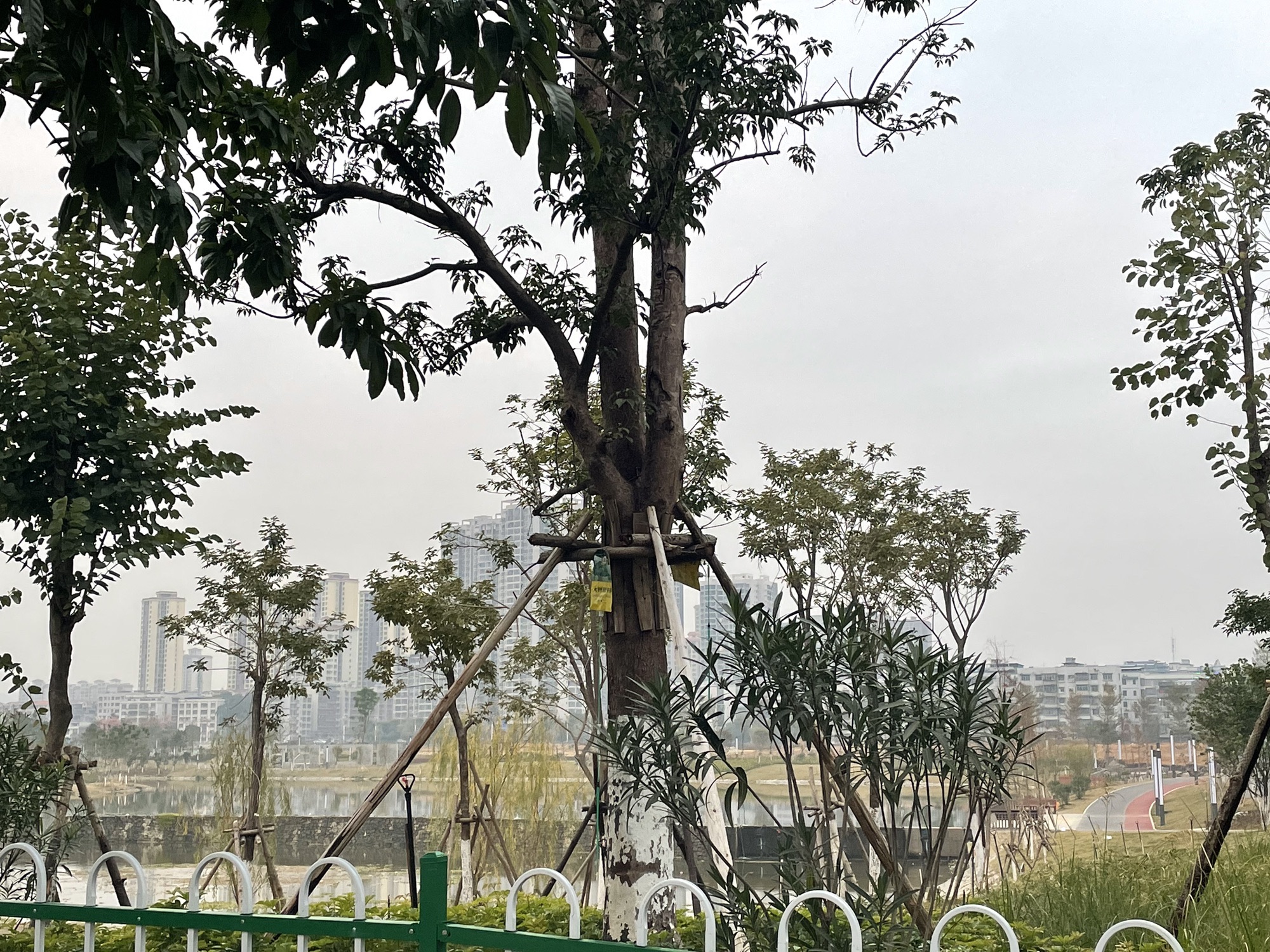 九曲河滨水公园旅行图片 3