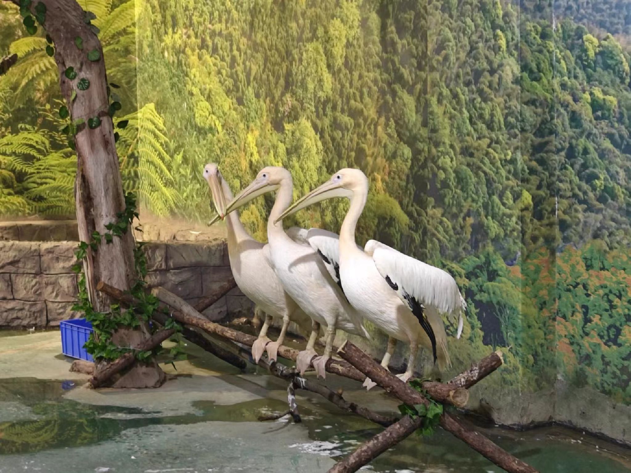 沈阳龙之梦动物科普乐园旅行图片 1
