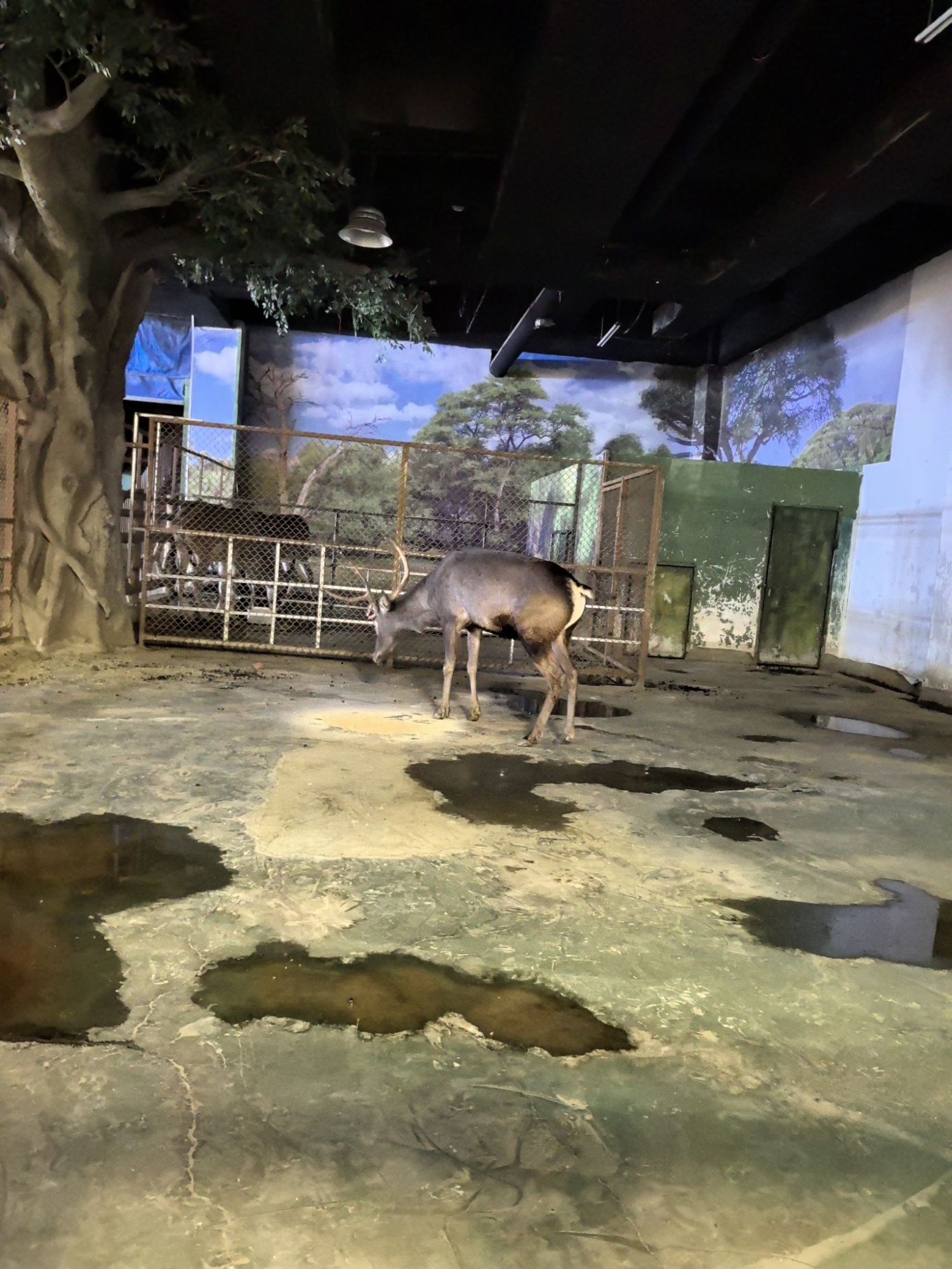 沈阳龙之梦动物科普乐园旅行图片 1