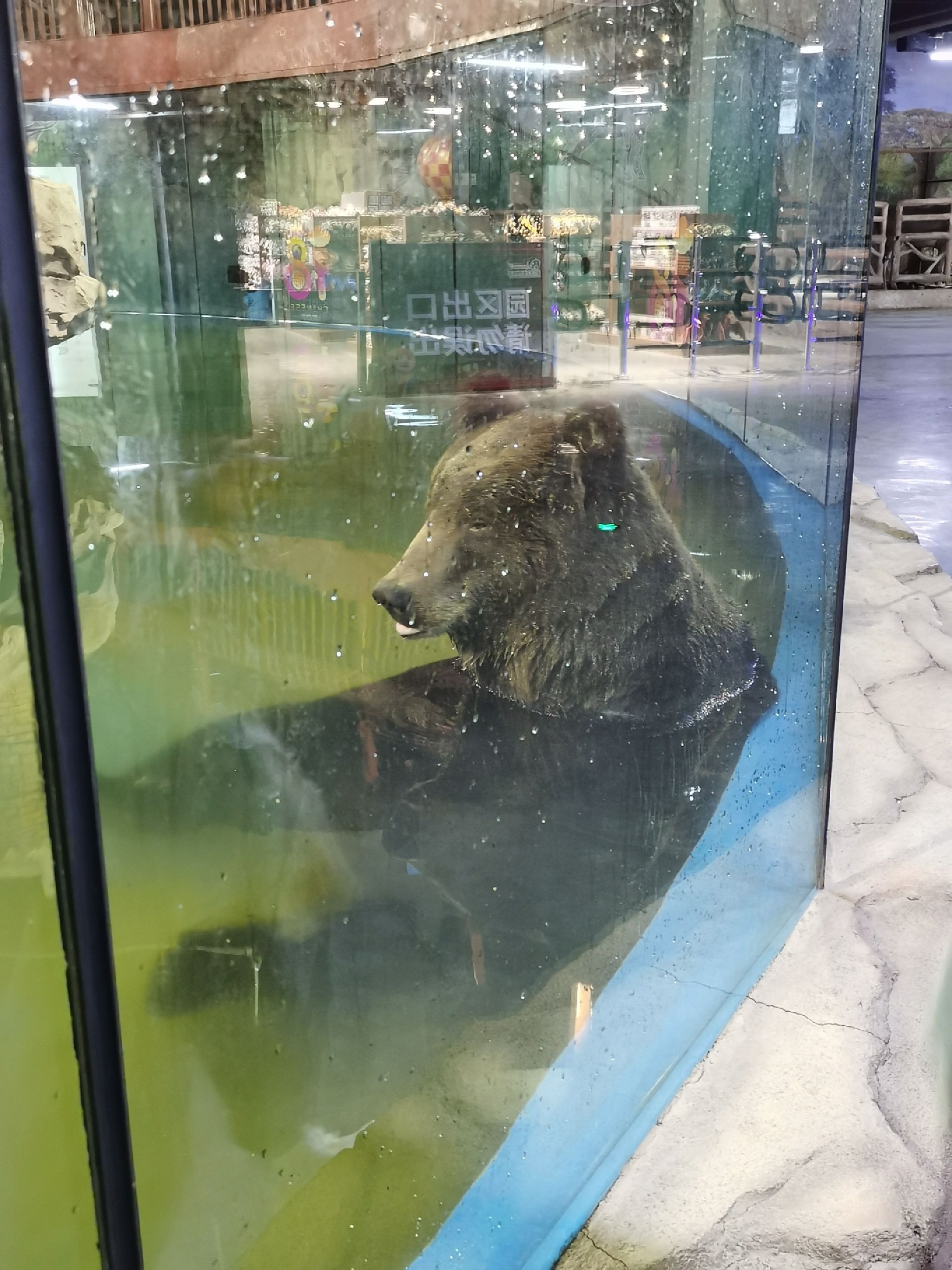 沈阳龙之梦动物科普乐园旅行图片 1