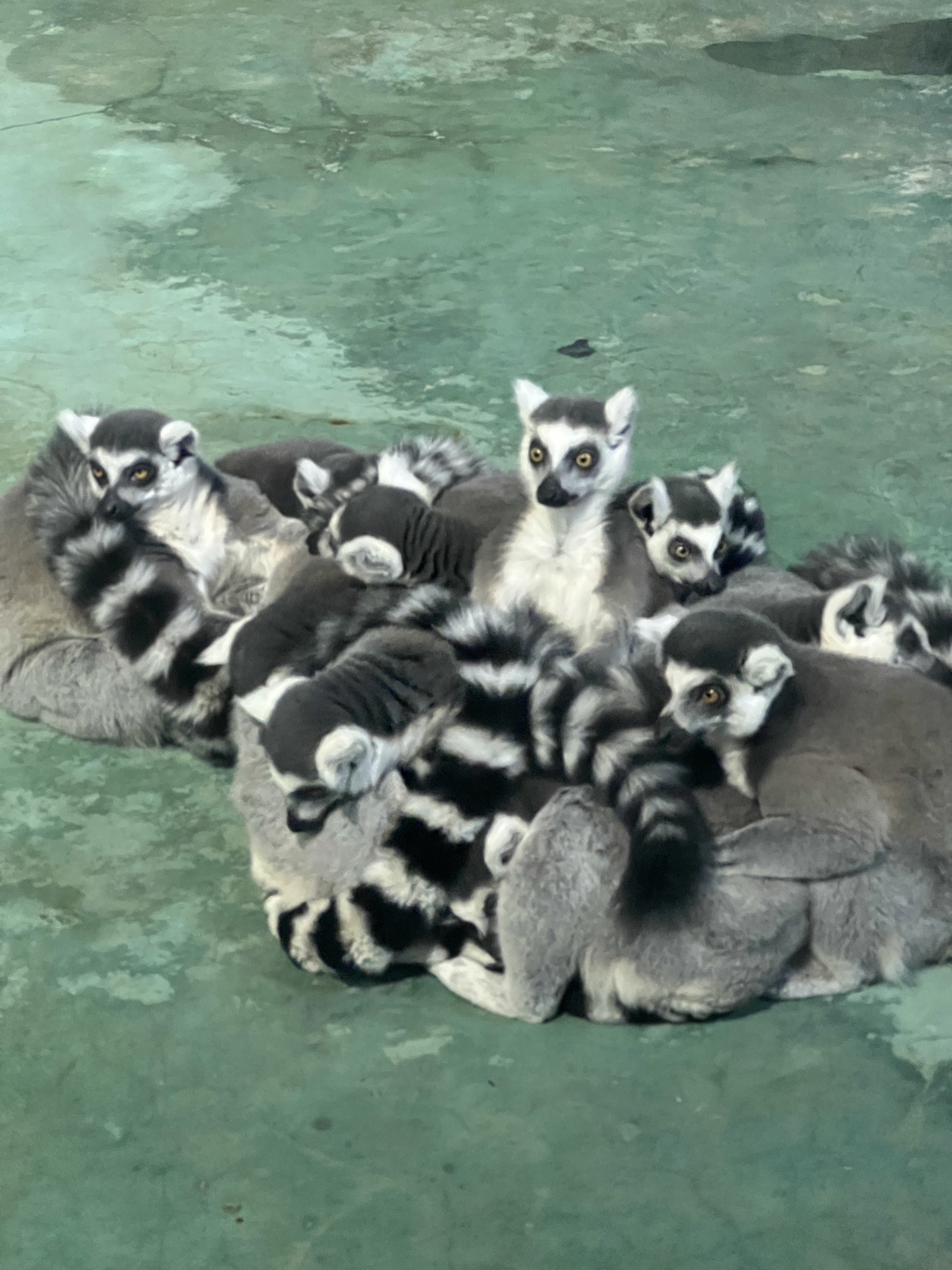 沈阳龙之梦动物科普乐园旅行图片 2