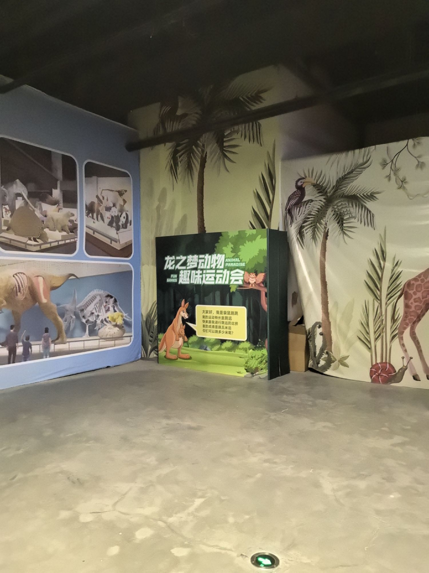 沈阳龙之梦动物科普乐园旅行图片 2