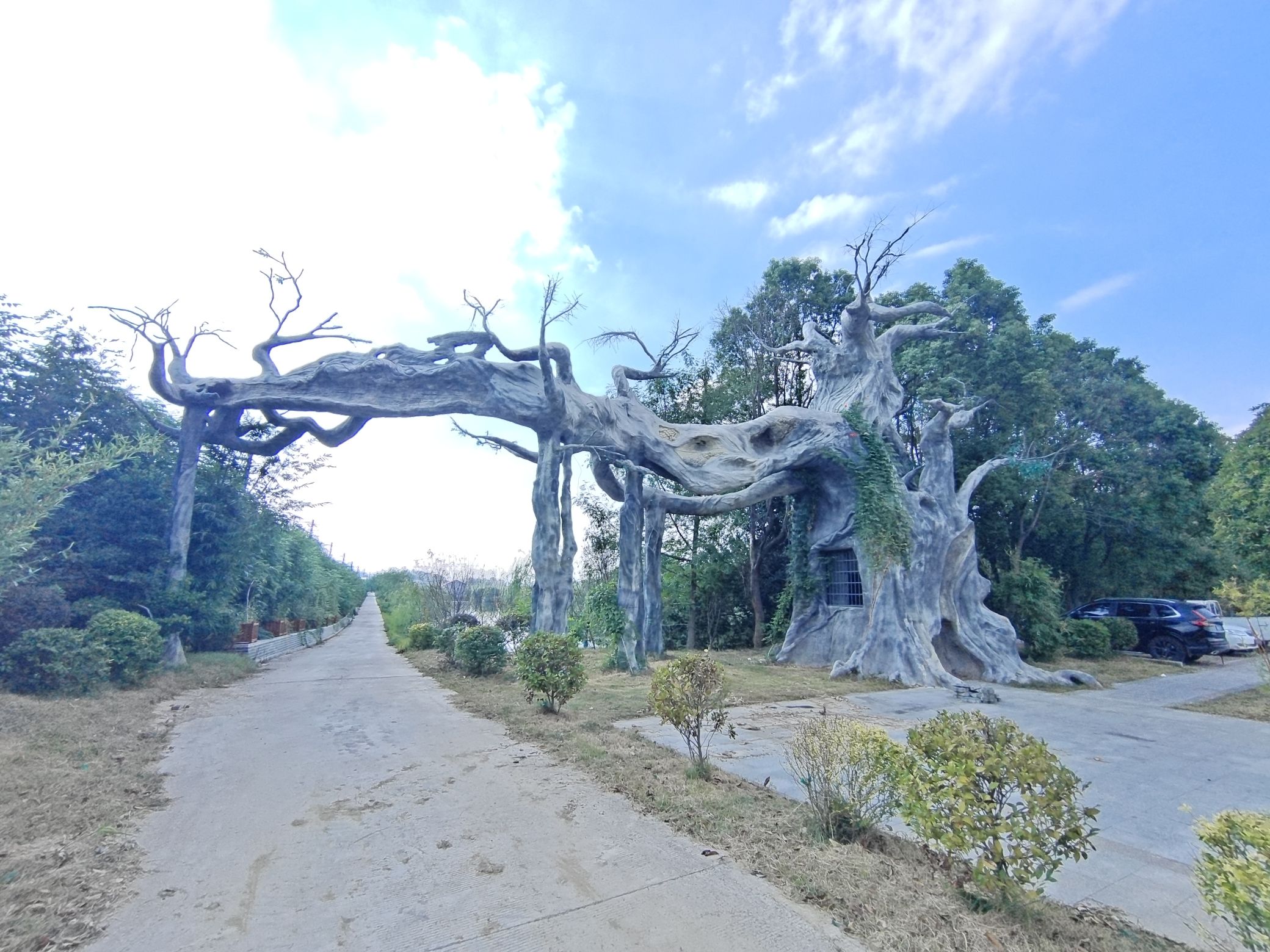 华胜湿地公园旅行图片 2