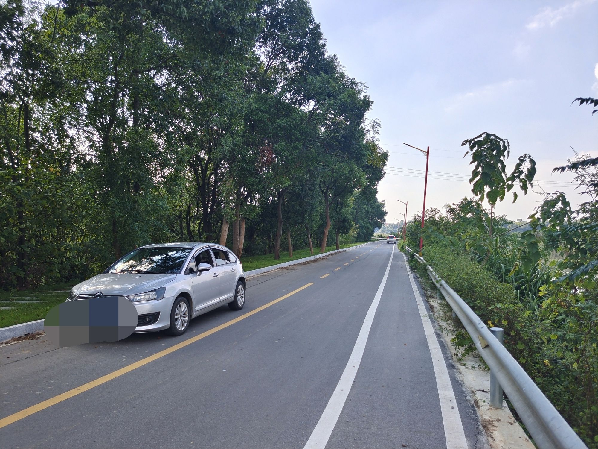 华胜湿地公园旅行图片 3