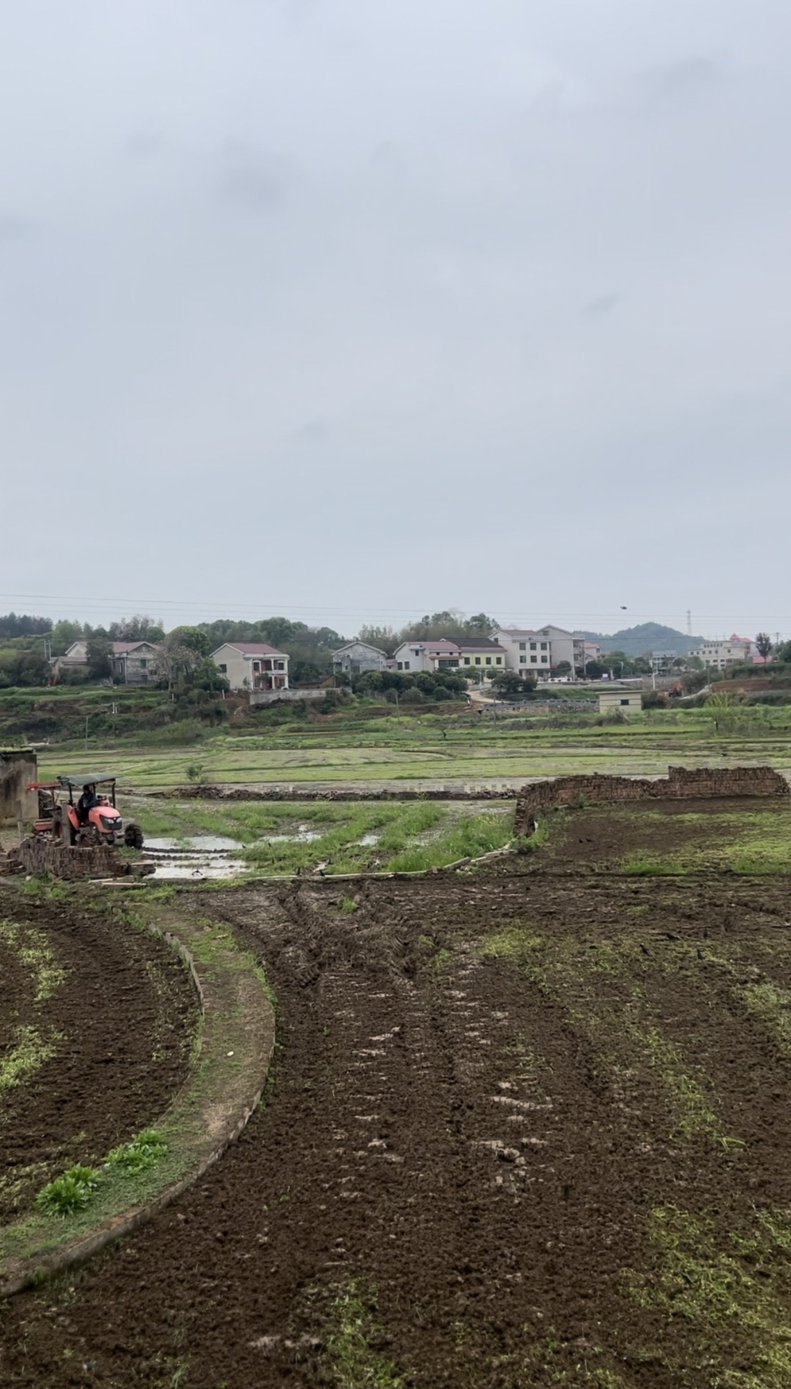 华胜湿地公园旅行图片 1