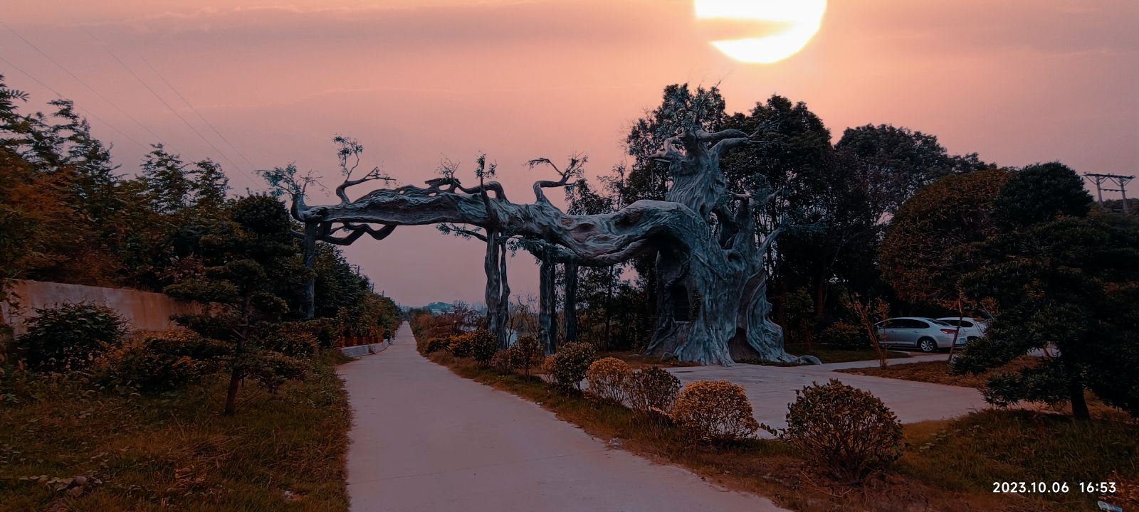 华胜湿地公园旅行图片 2