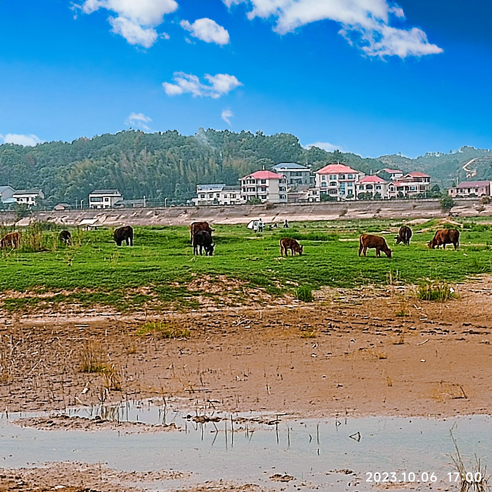 华胜湿地公园旅行图片 1