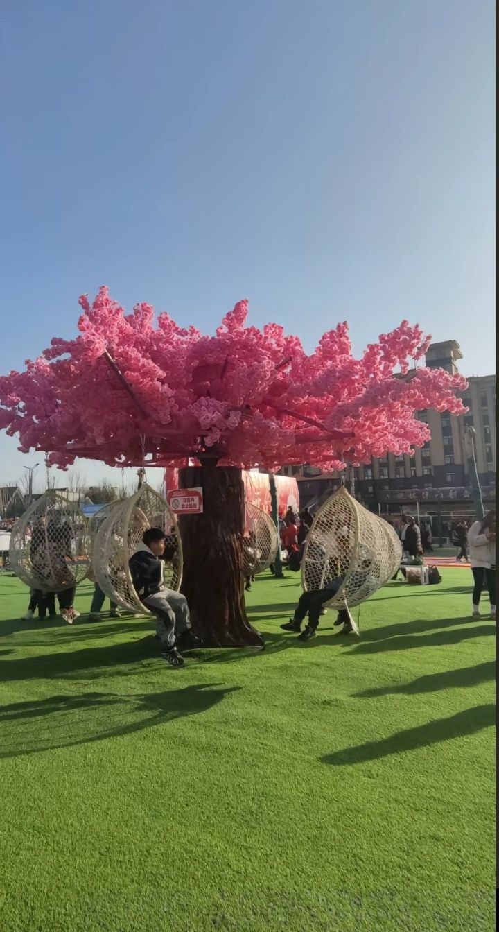 小龙人梦幻城堡游乐园旅行图片 2