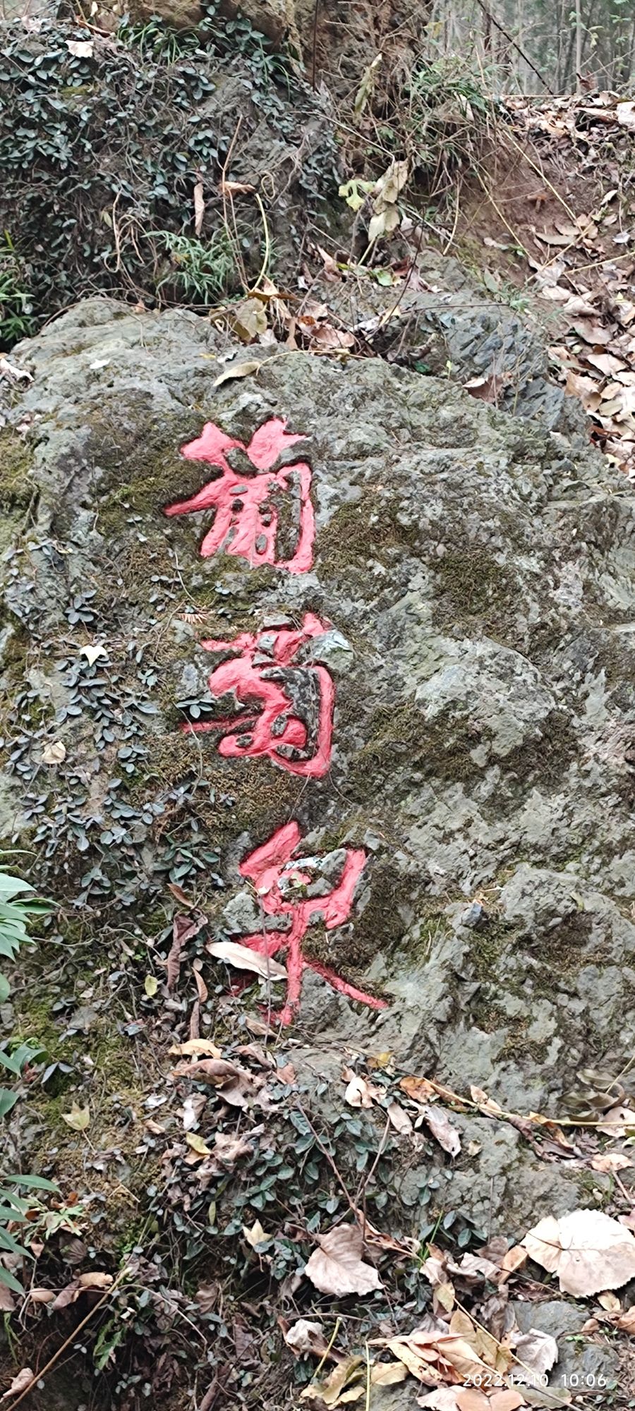 爱枫亭旅行图片 2