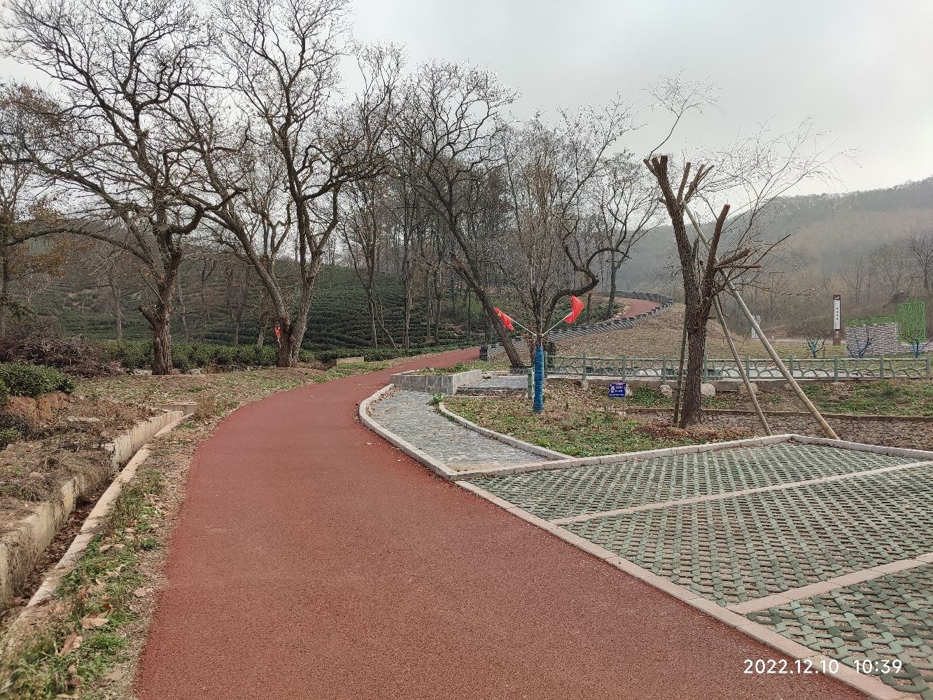 古栗广场旅行图片 2