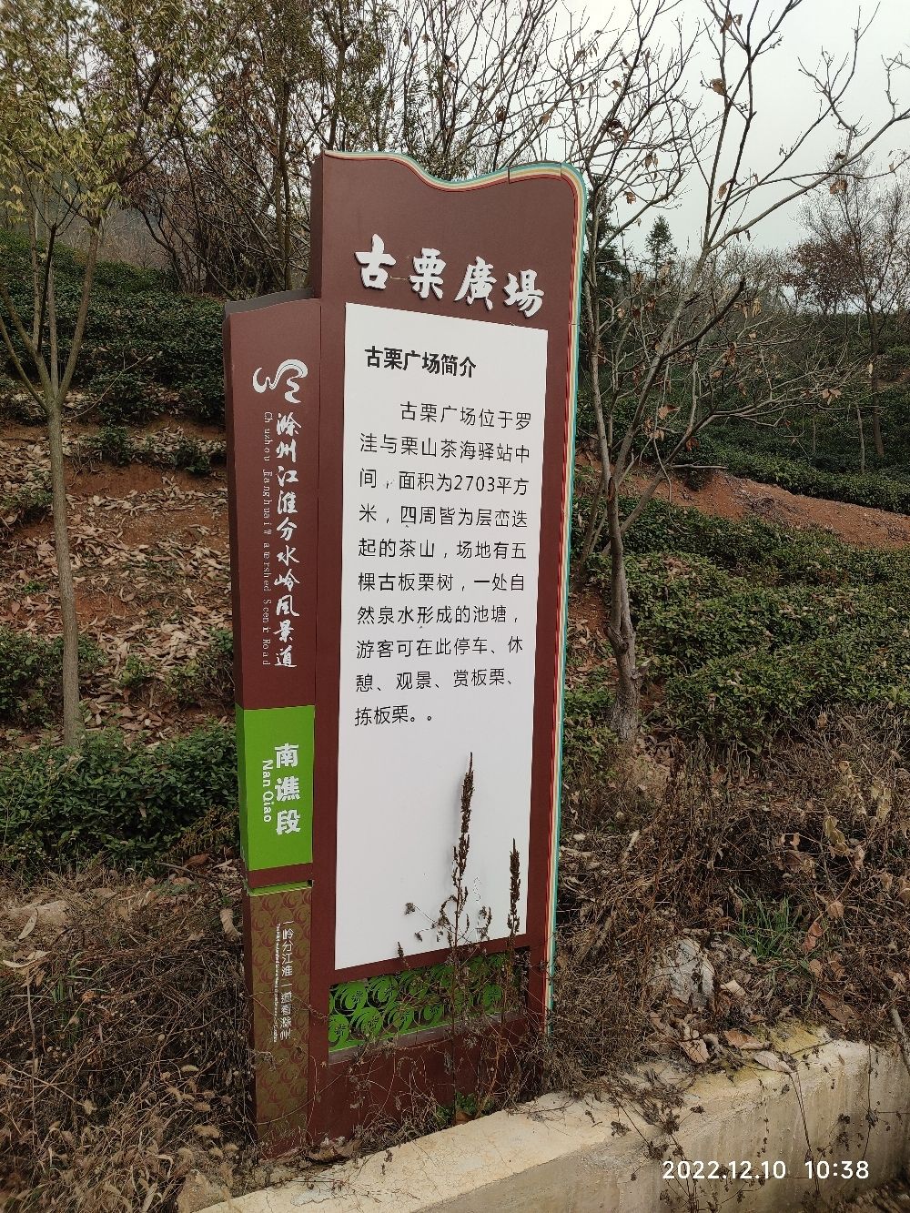 古栗广场旅行图片 1
