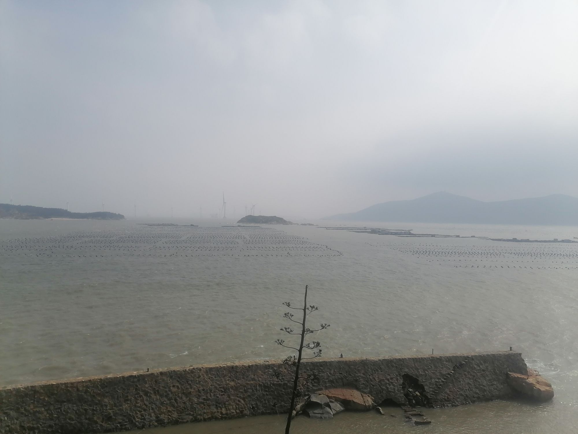 白沙公园旅行图片 2