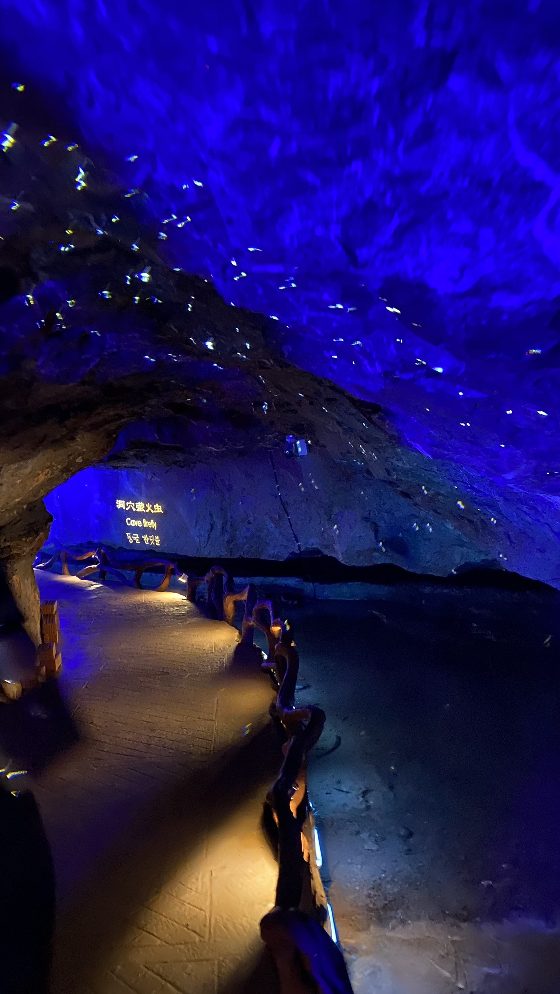 青龙洞景区旅行图片 1