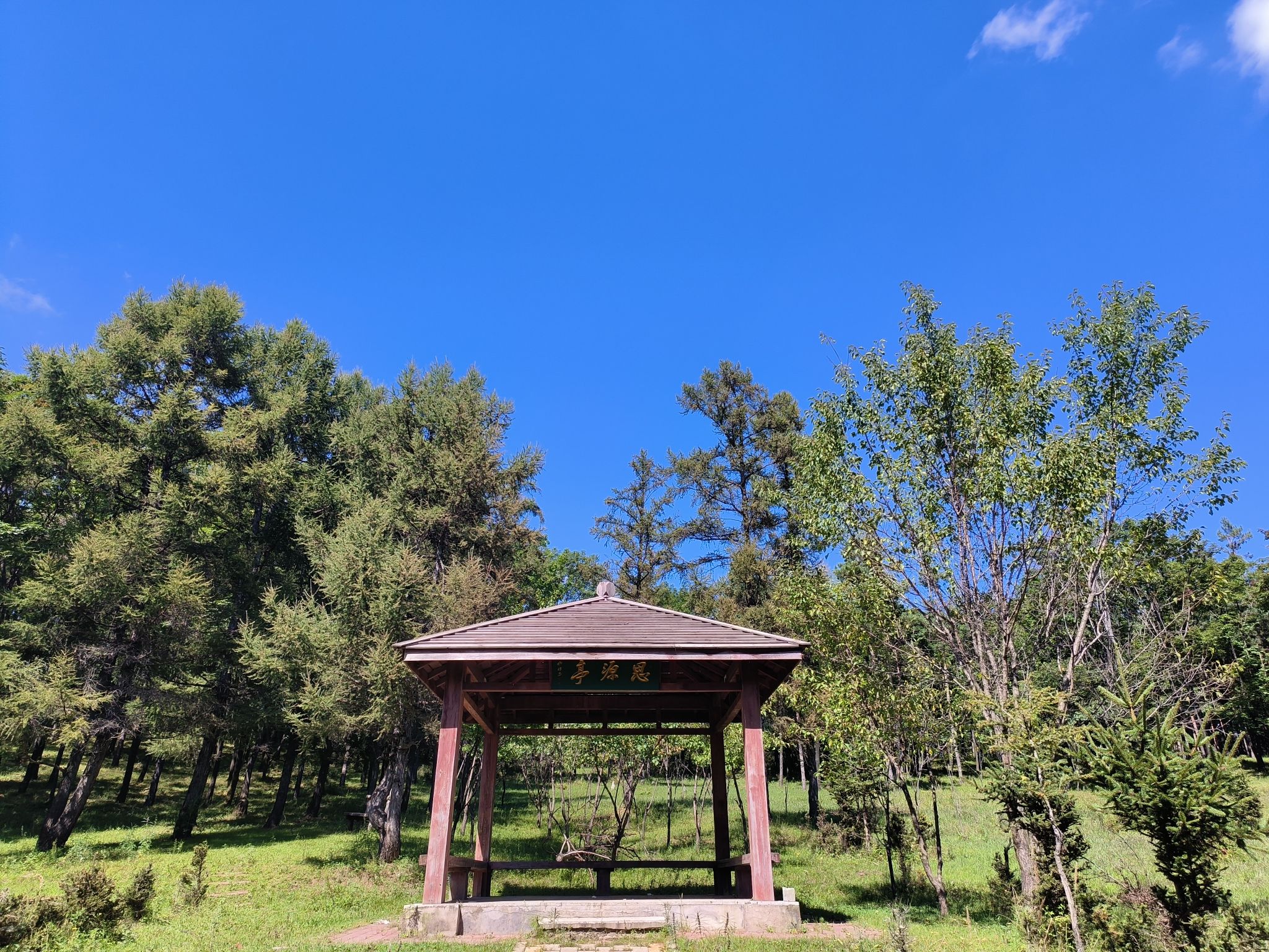 涌蟾泉旅行图片 2