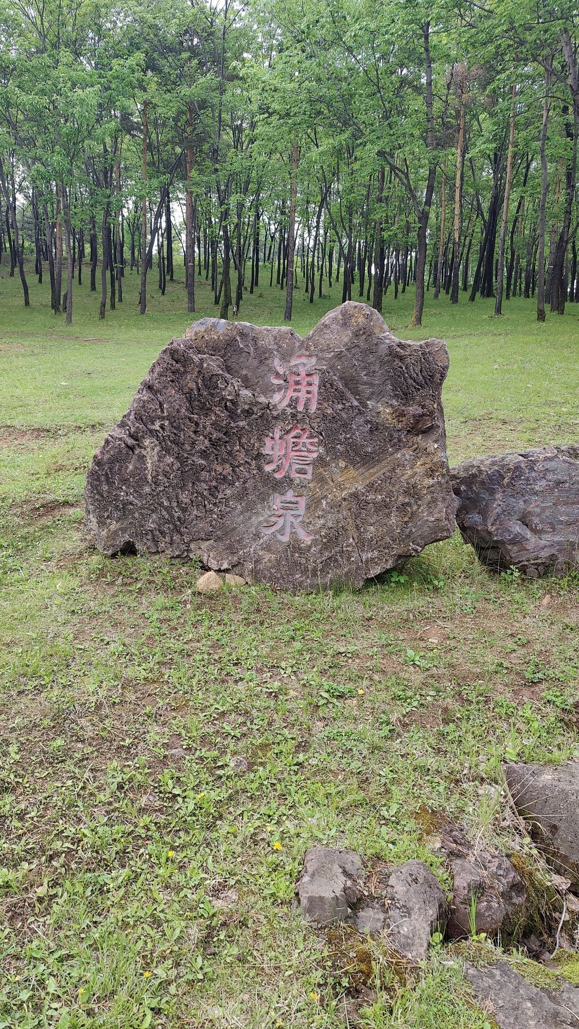 涌蟾泉旅行图片 1