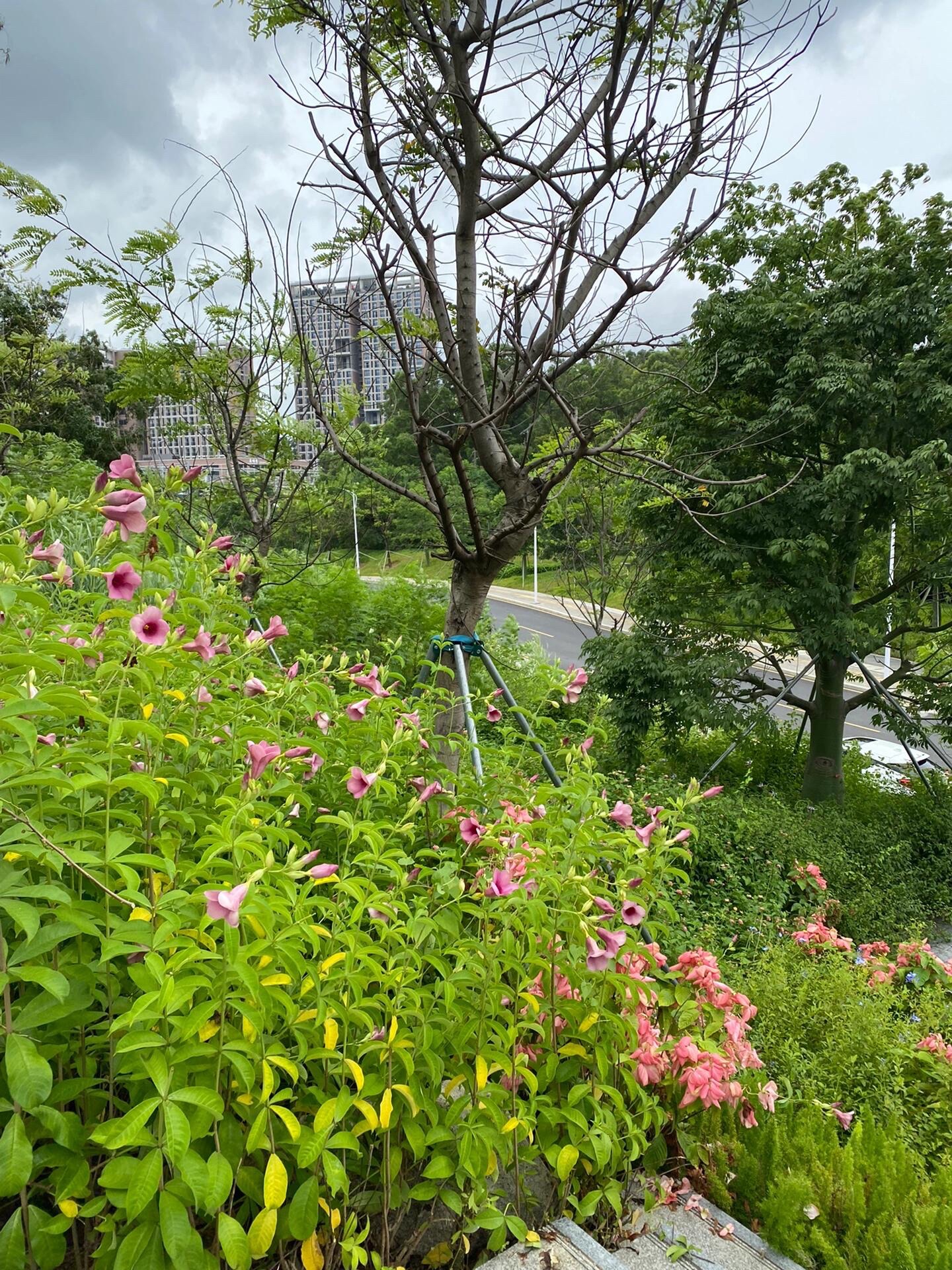 零碳公园旅行图片 3