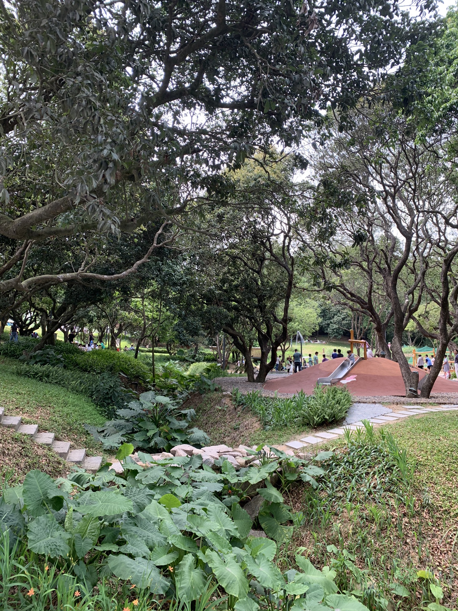 零碳公园旅行图片 1