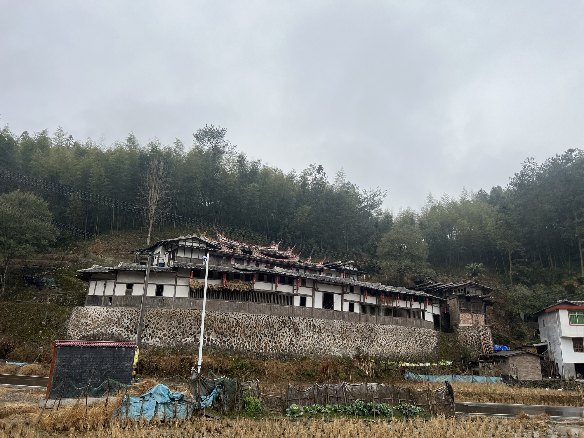 小布达拉宫旅行图片 1