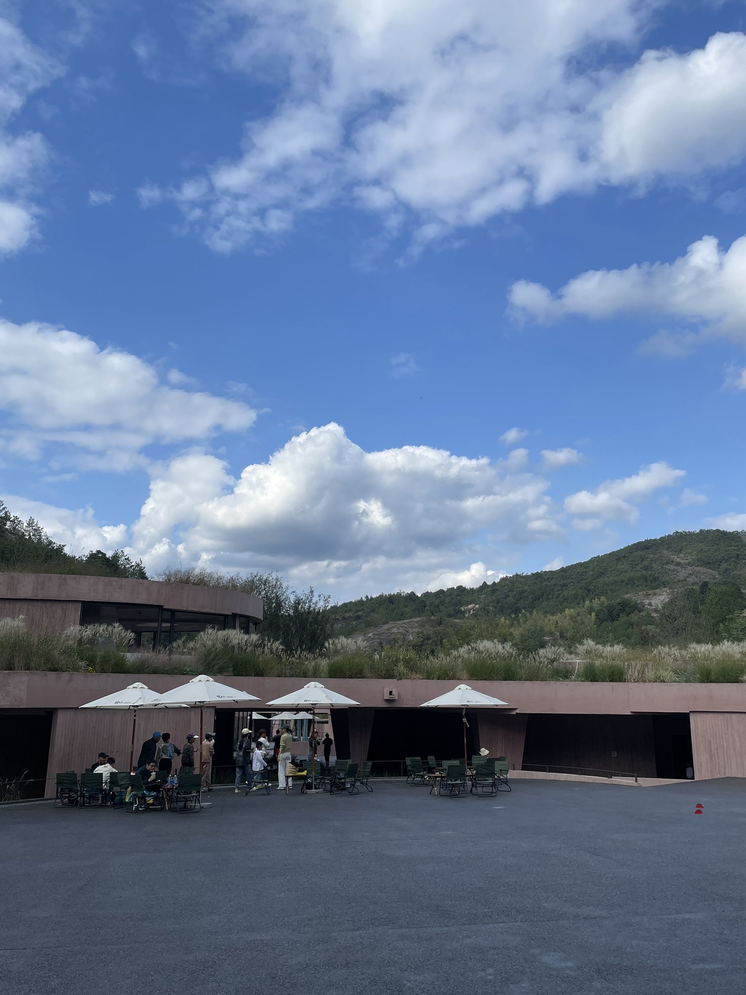 千鹦鸟舍鹦鹉主题乐园旅行图片 3