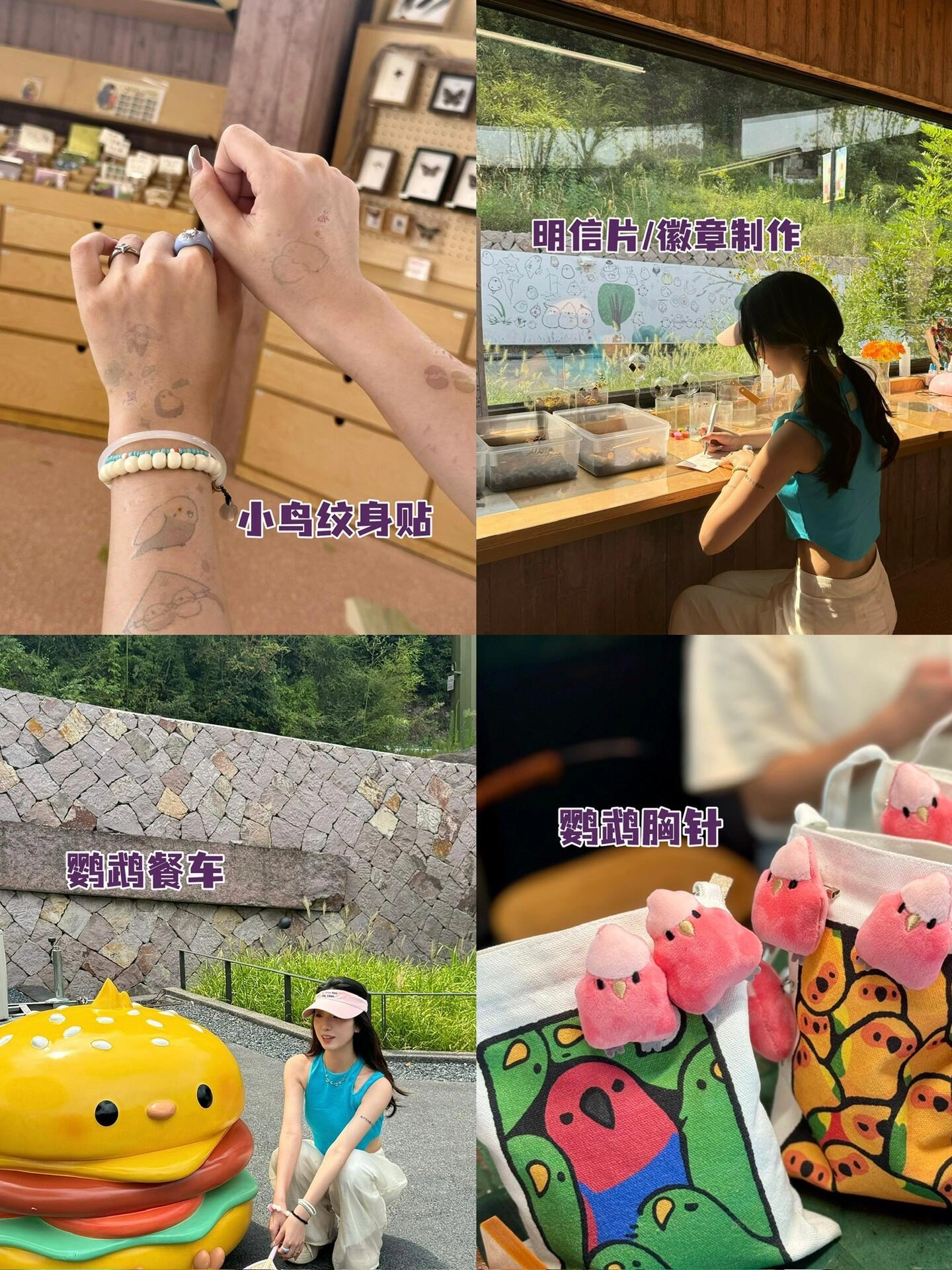 千鹦鸟舍鹦鹉主题乐园旅行图片 2