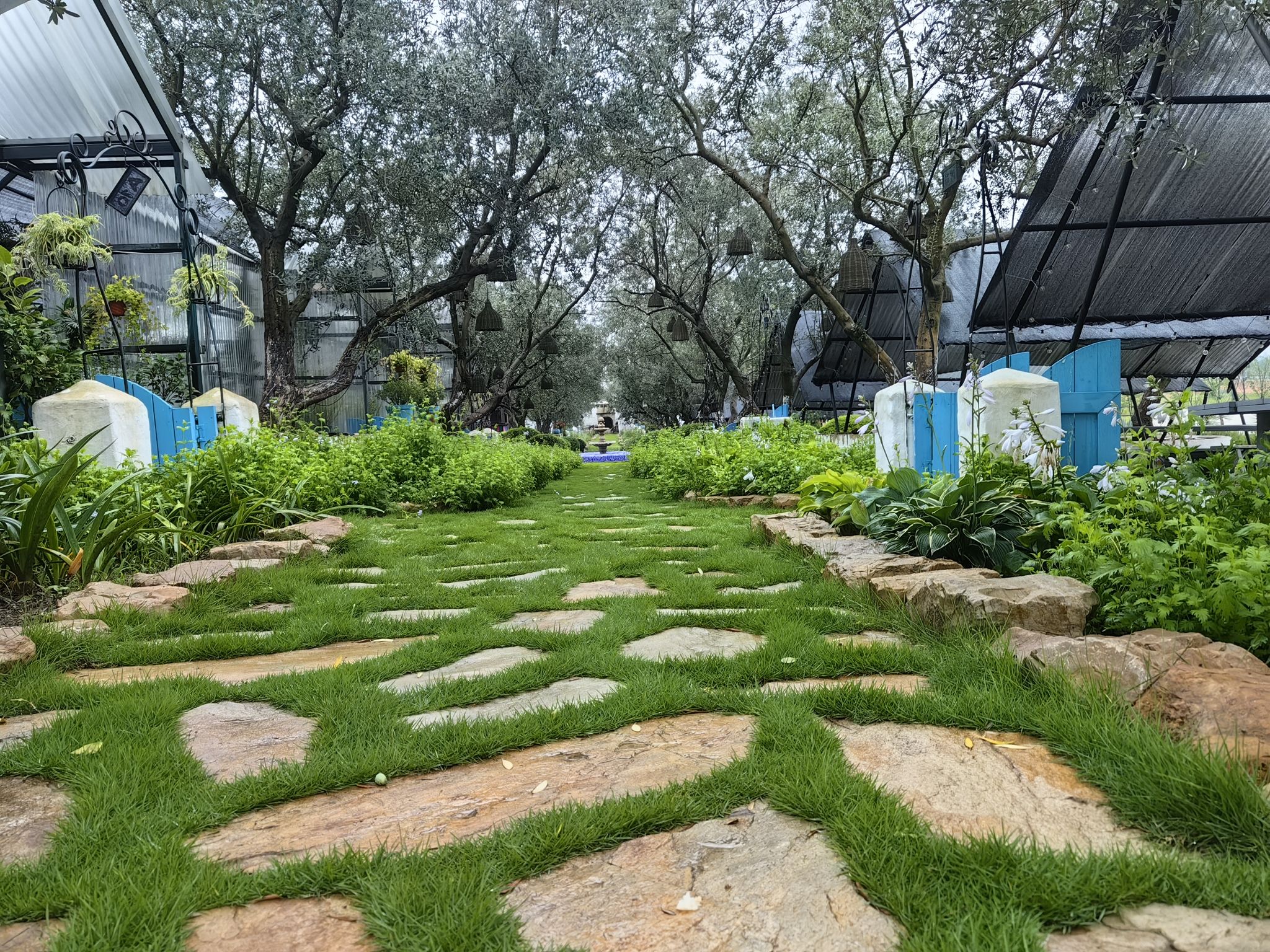 场地封面-不觉晓.谷朴森林(空港花田店)