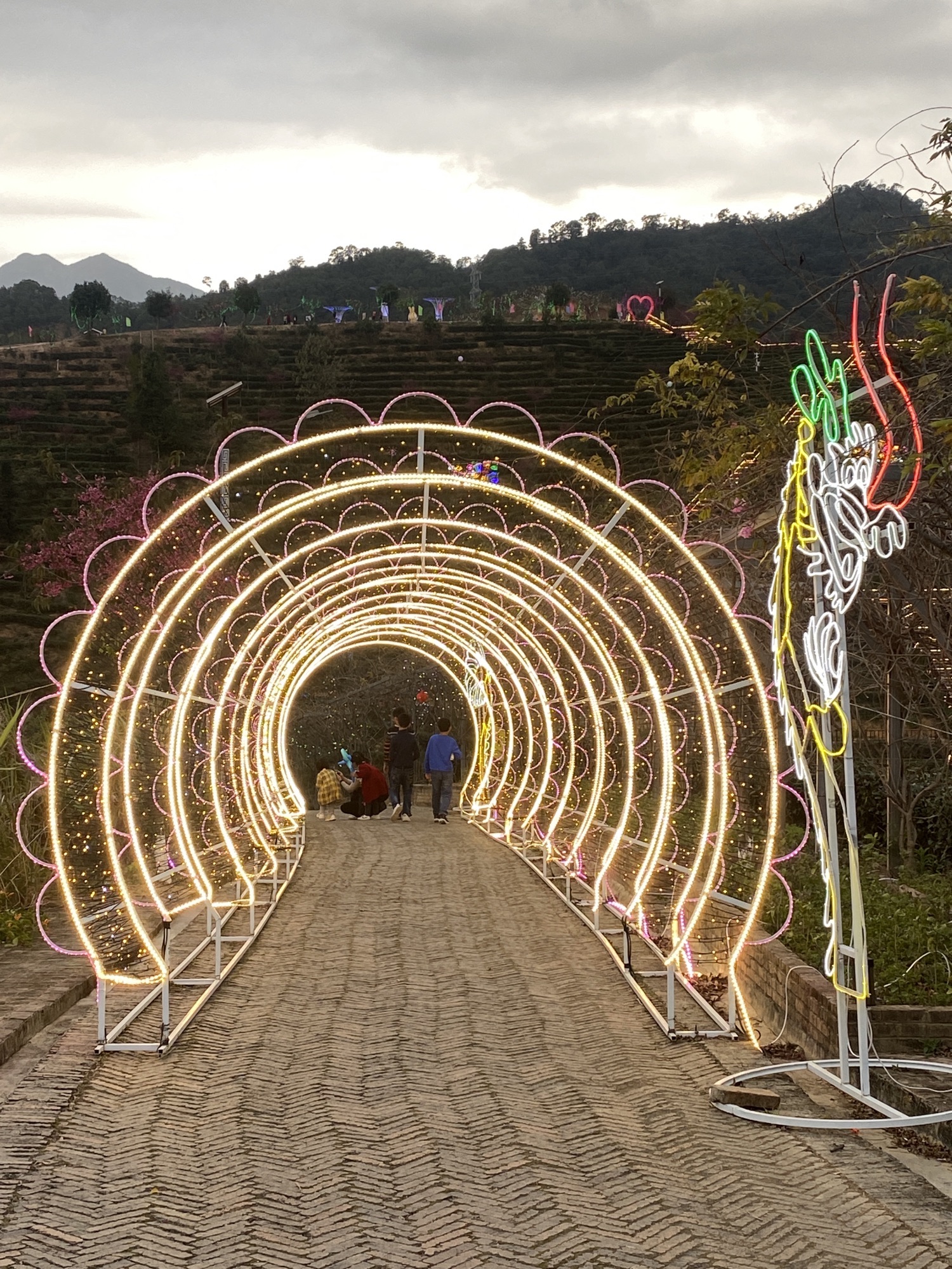 紫金客茶谷旅行图片 3