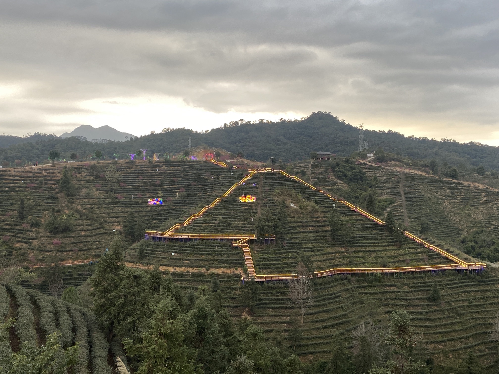 紫金客茶谷旅行图片 2
