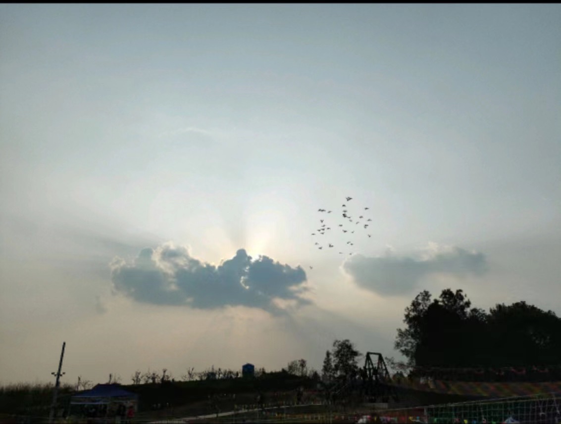 玉山森林乐园旅行图片 1