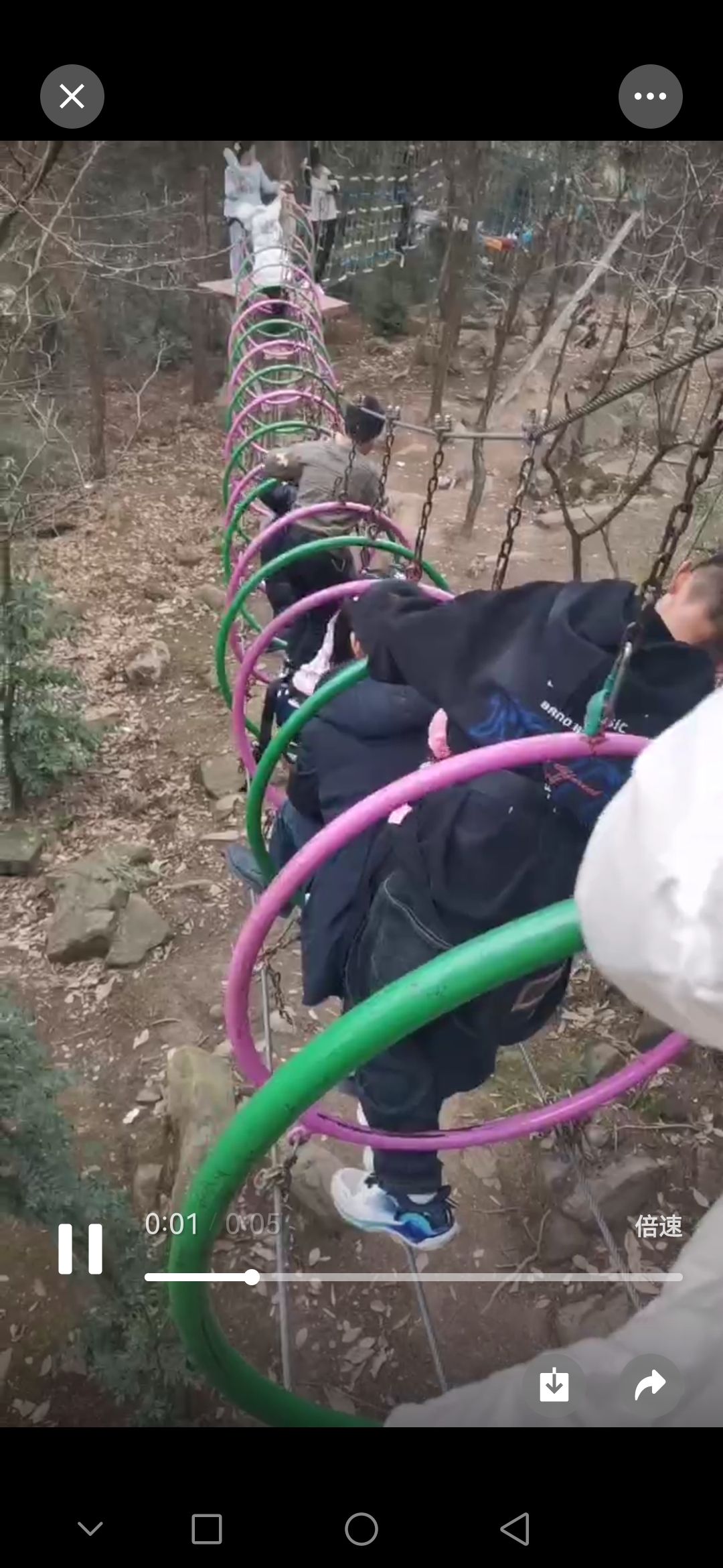 玉山森林乐园旅行图片 3