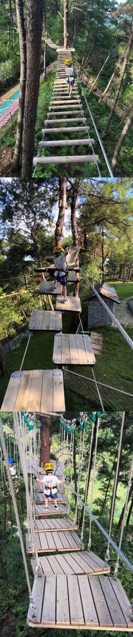 丛林精灵探险乐园旅行图片 3
