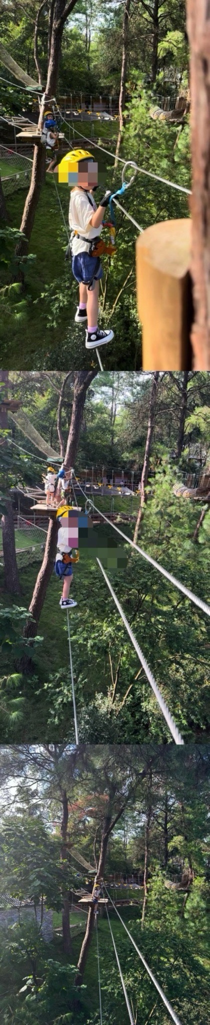 丛林精灵探险乐园旅行图片 1