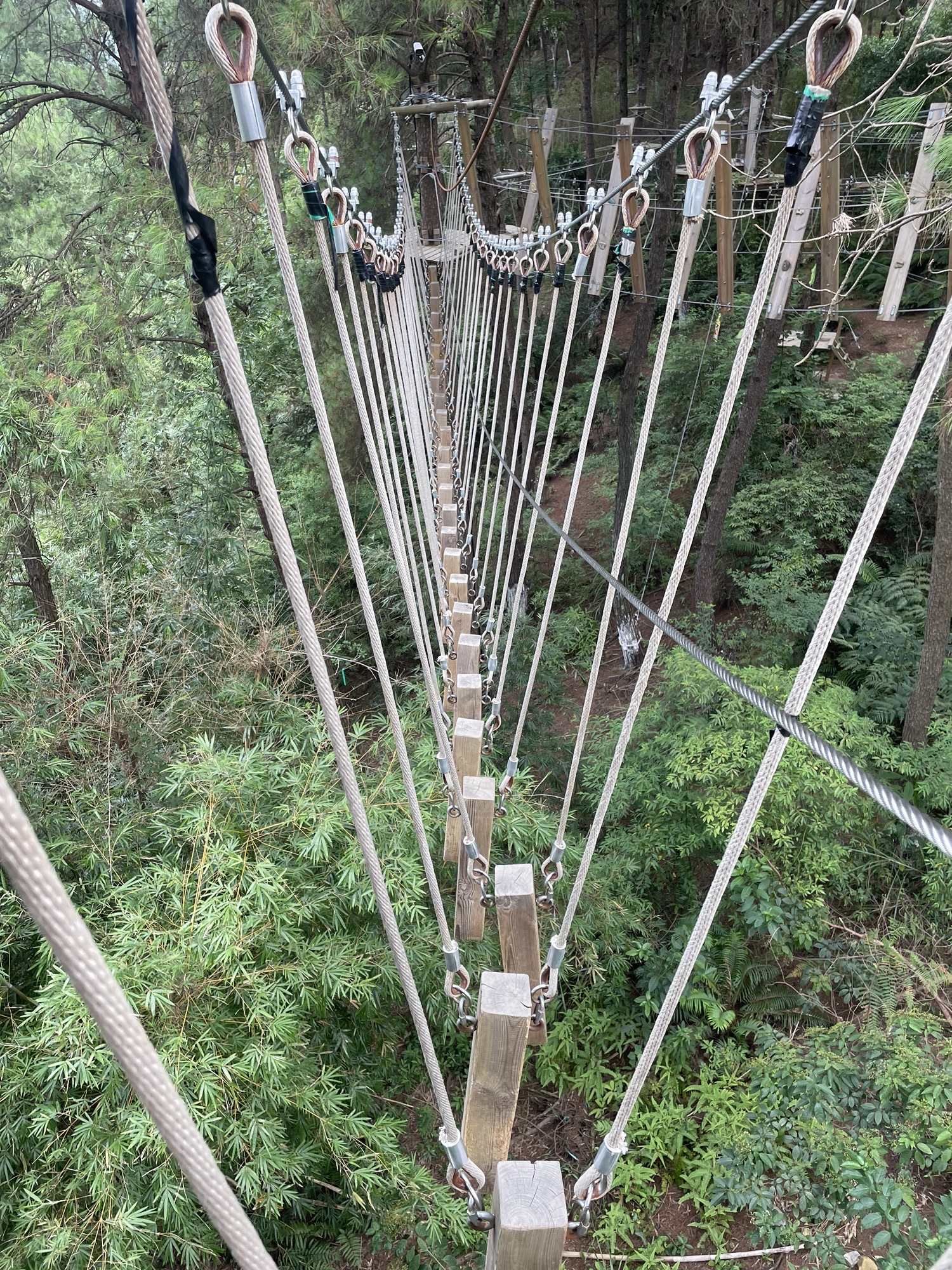 丛林精灵探险乐园旅行图片 1