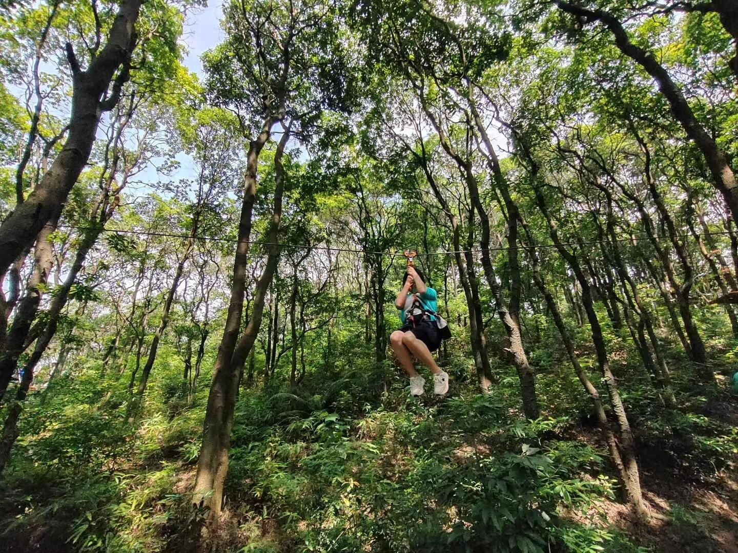 丛林精灵探险乐园旅行图片 1