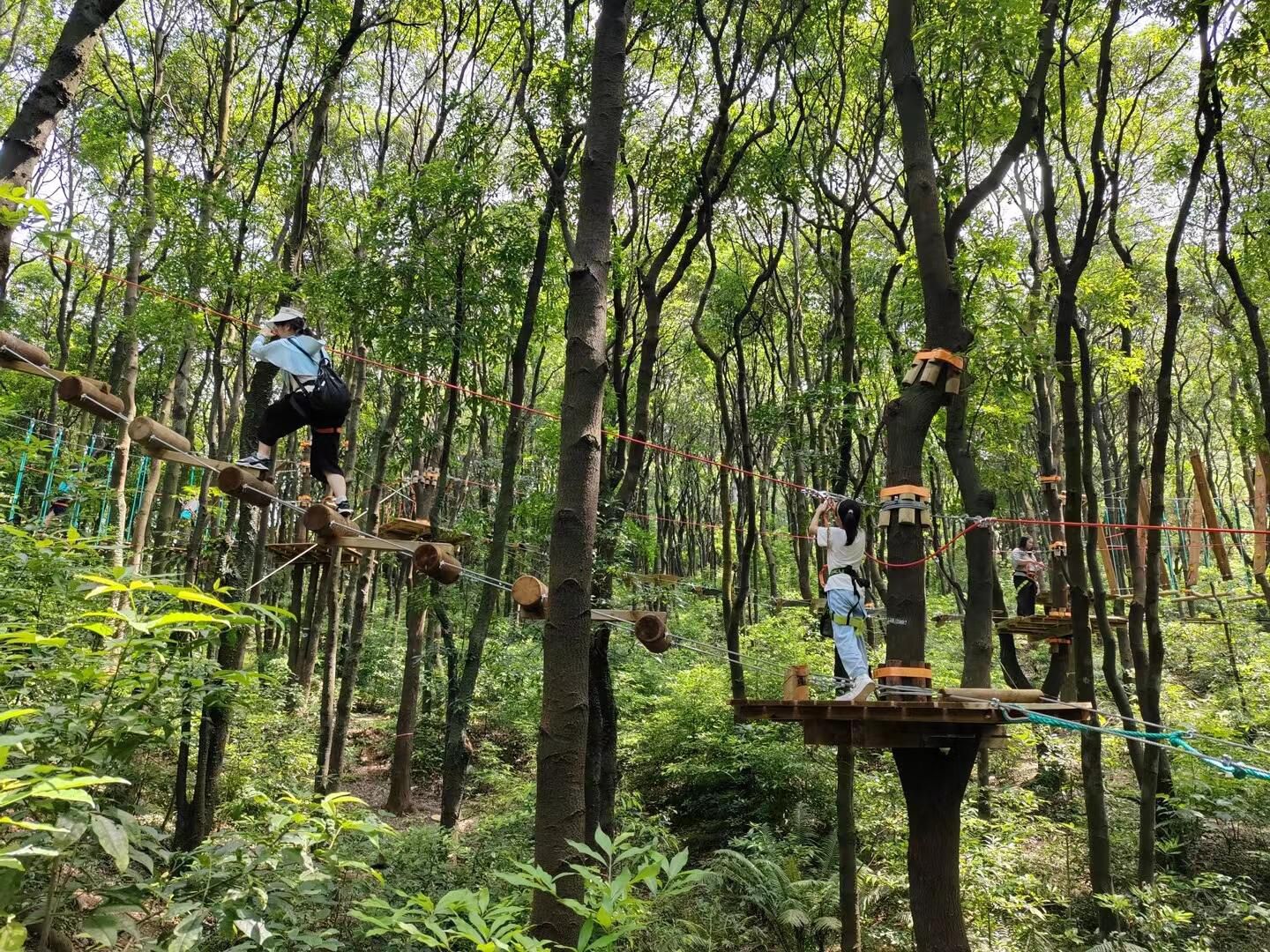 丛林精灵探险乐园旅行图片 2