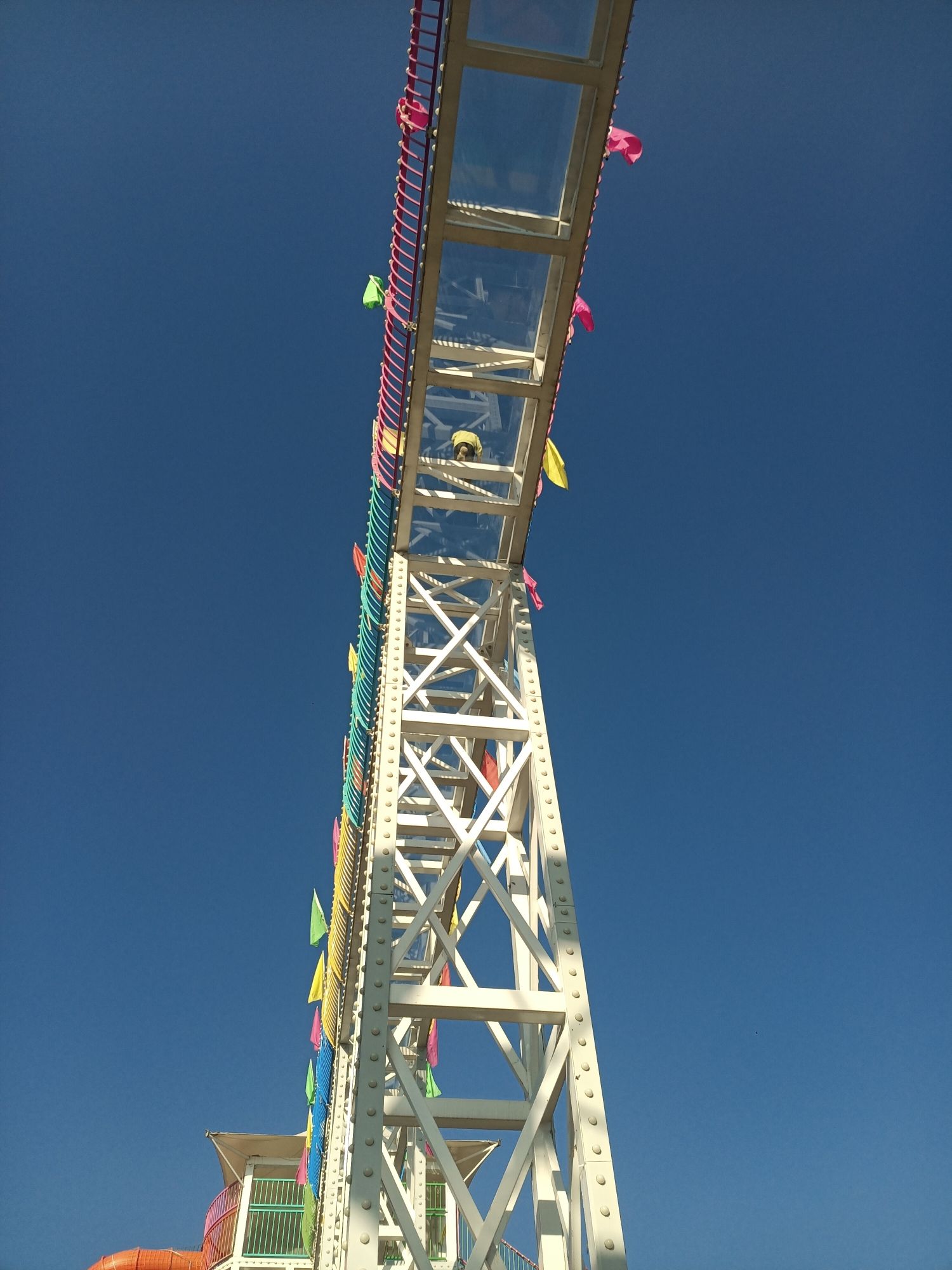 顽皮猴体育运动公园旅行图片 1