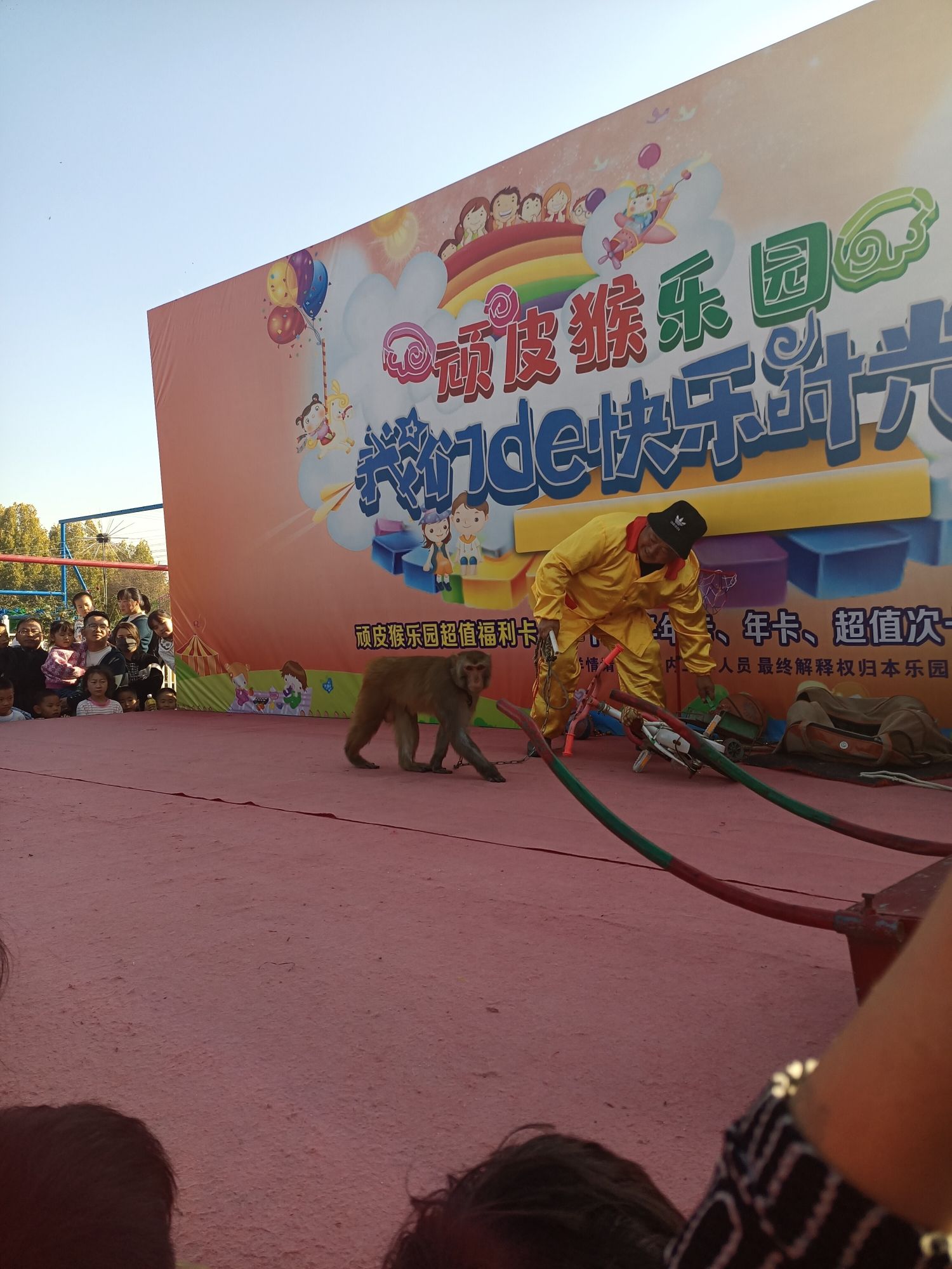 顽皮猴体育运动公园旅行图片 3