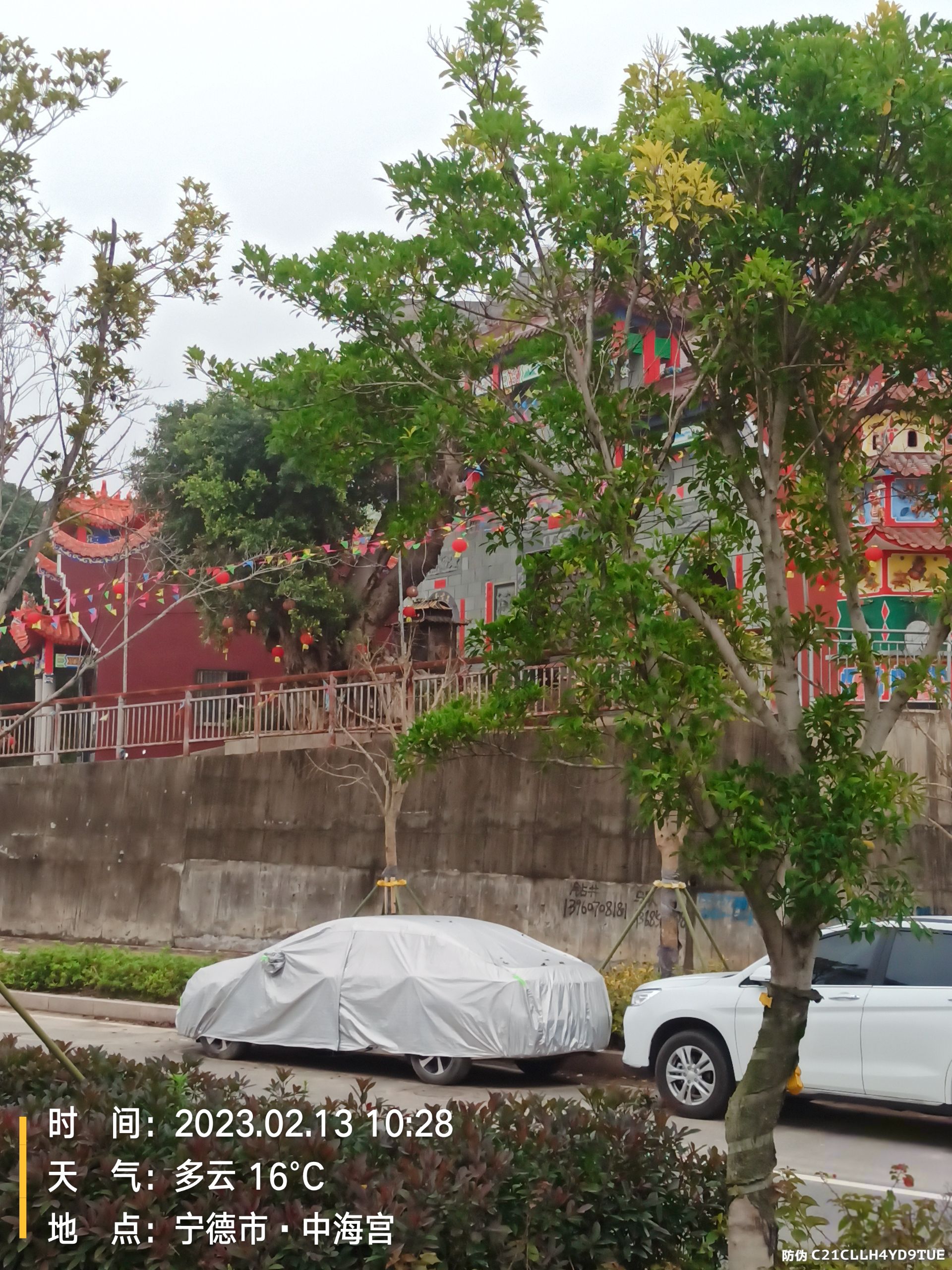 中海宫旅行图片 2