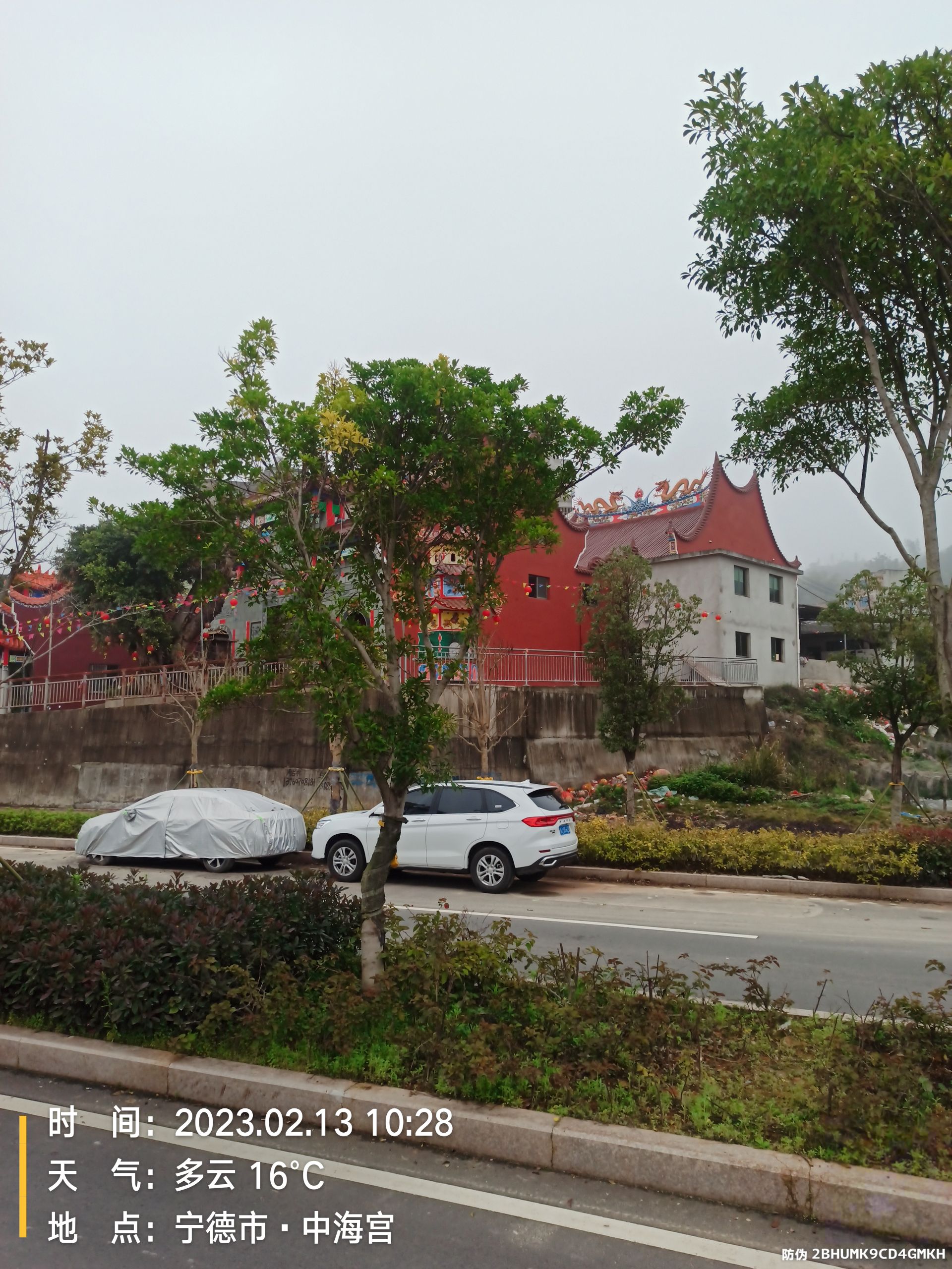 中海宫旅行图片 1