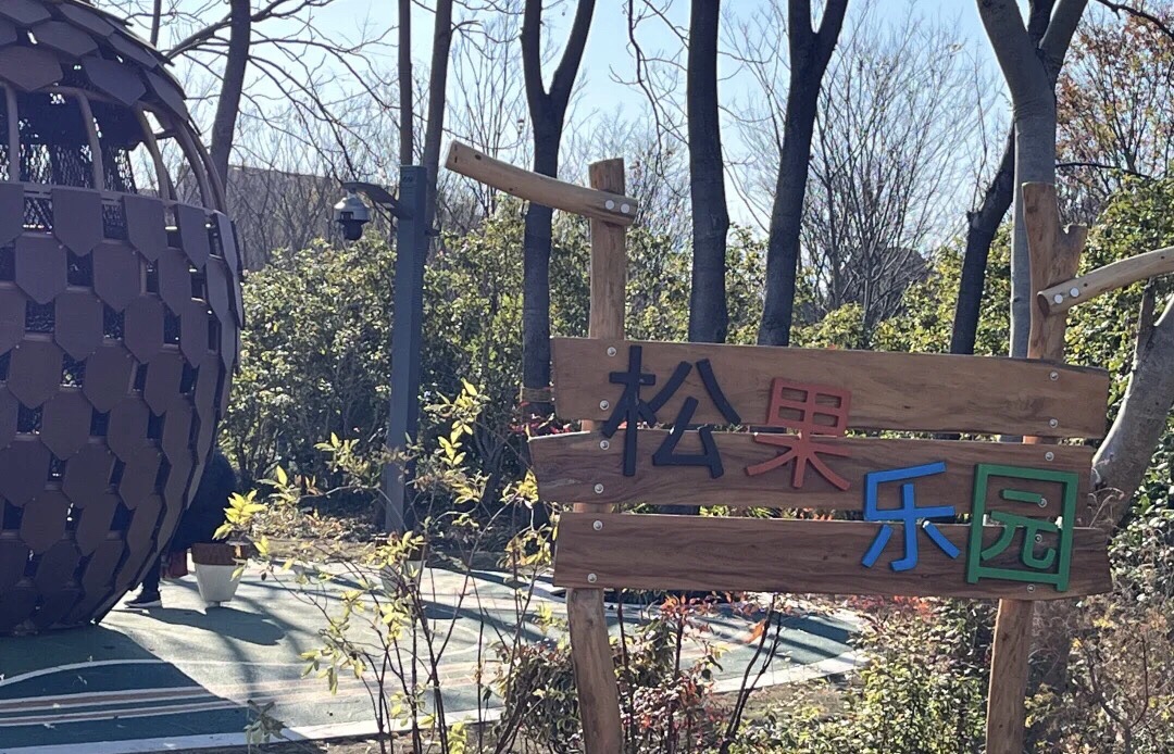 启动林公园旅行图片 1