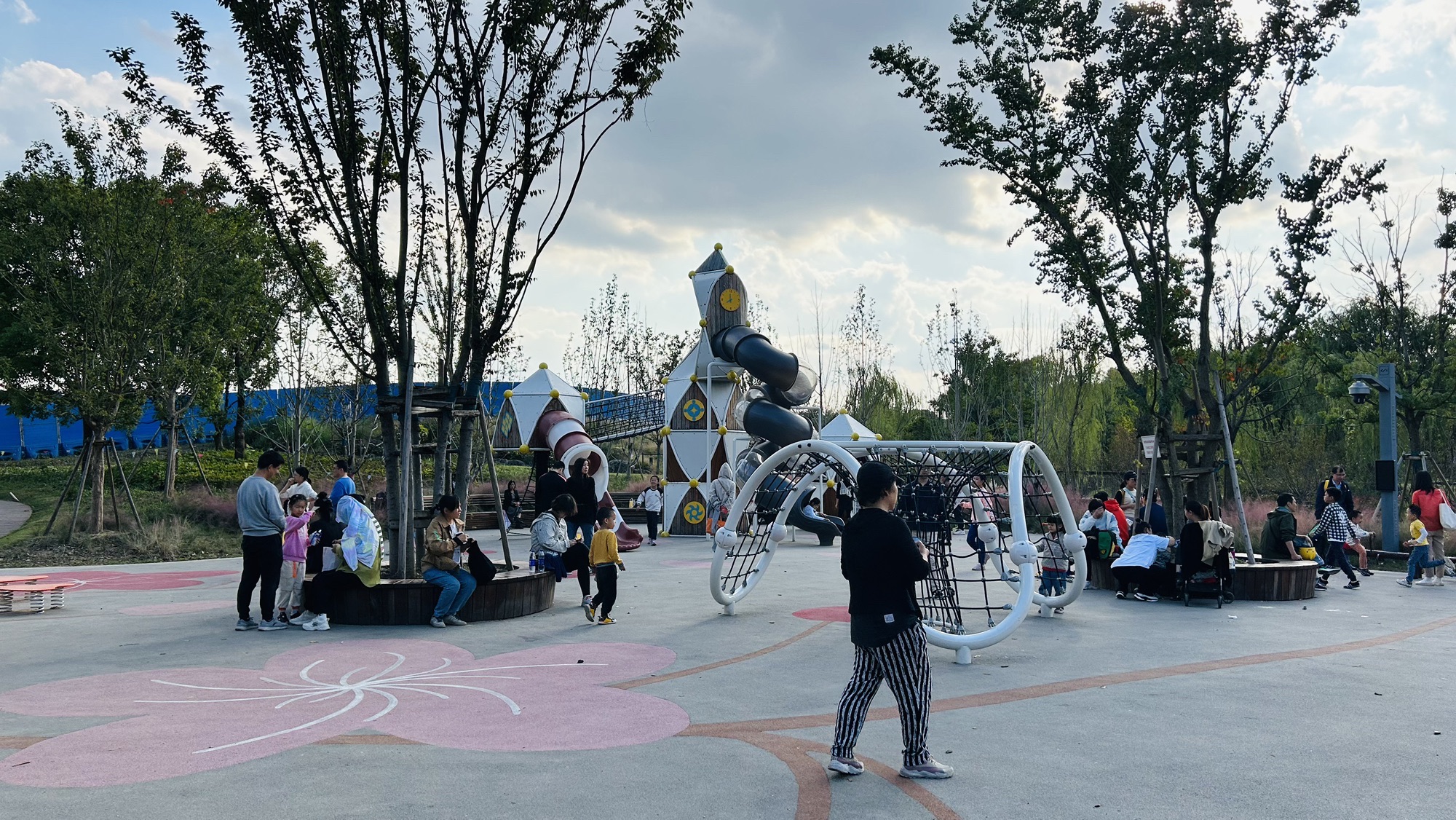 启动林公园旅行图片 2