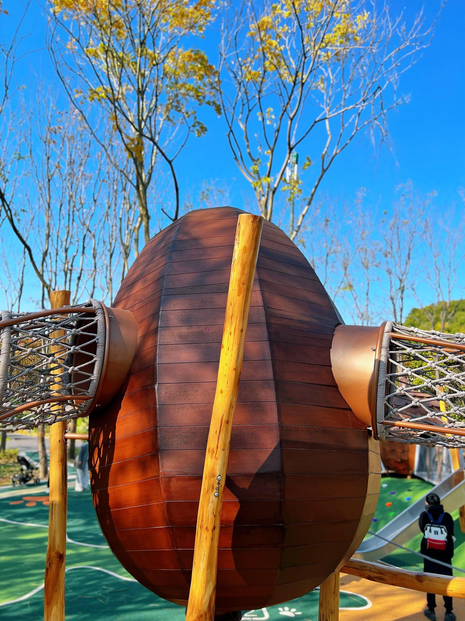 启动林公园旅行图片 3