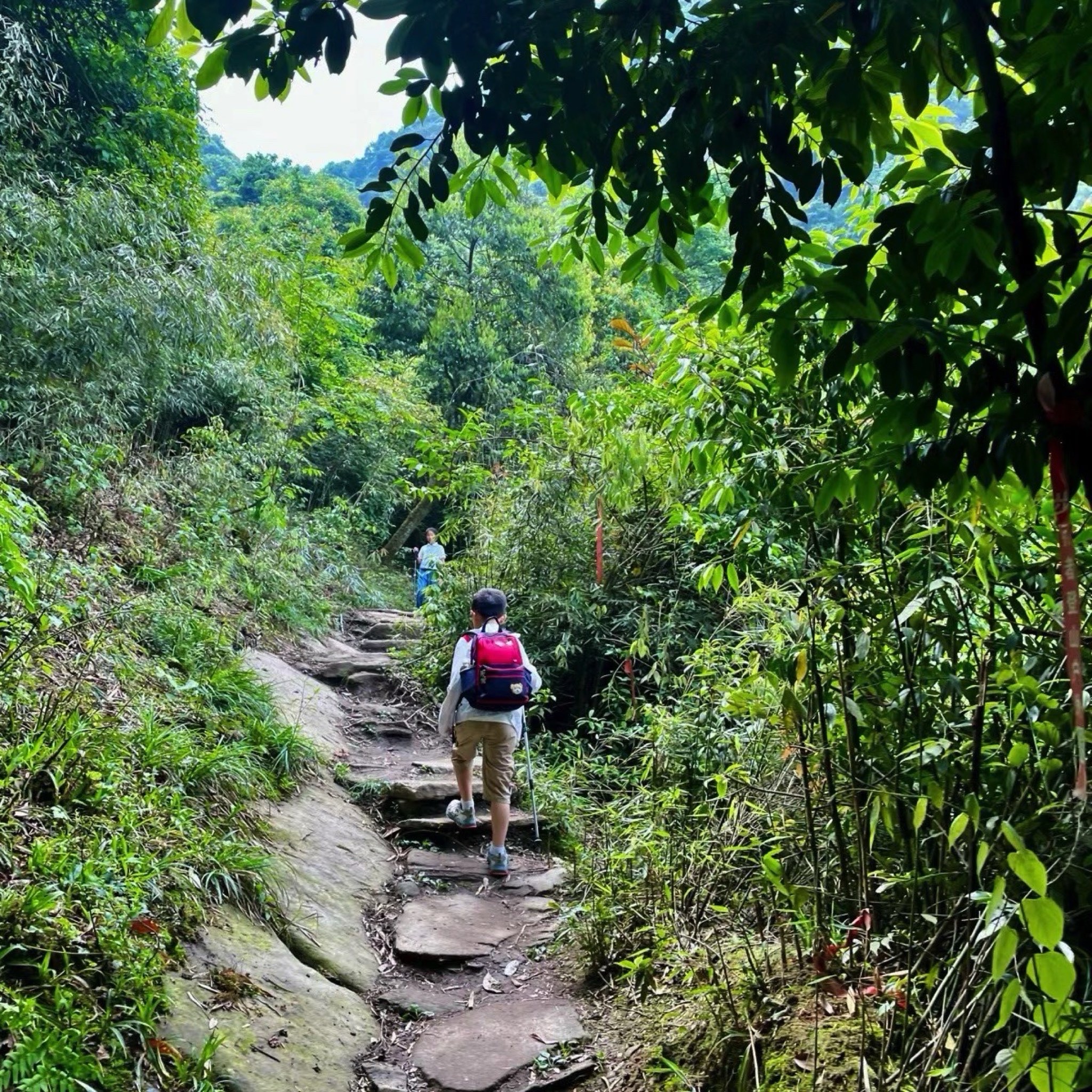 赵公山景区(西线)旅行图片 2