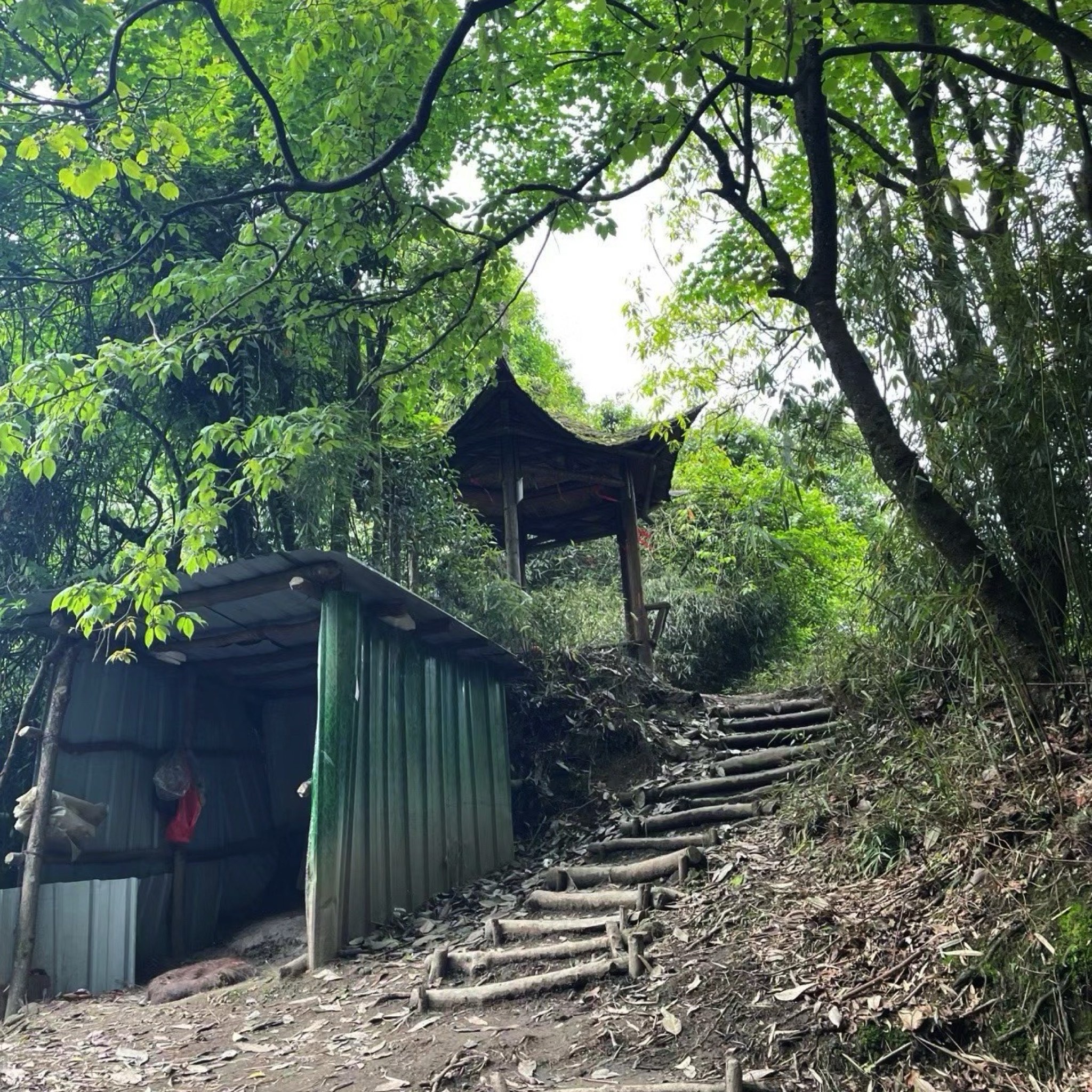 赵公山景区(西线)旅行图片 1